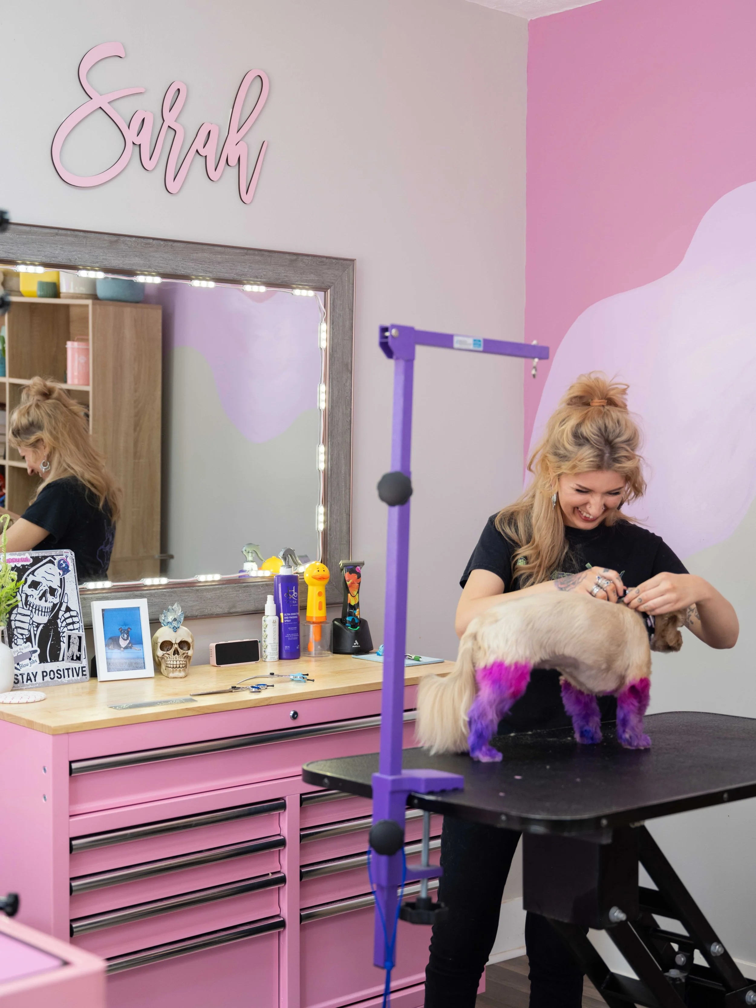 Dog grooming branding session in Louisville studio with staff and pets, lifestyle business photography.