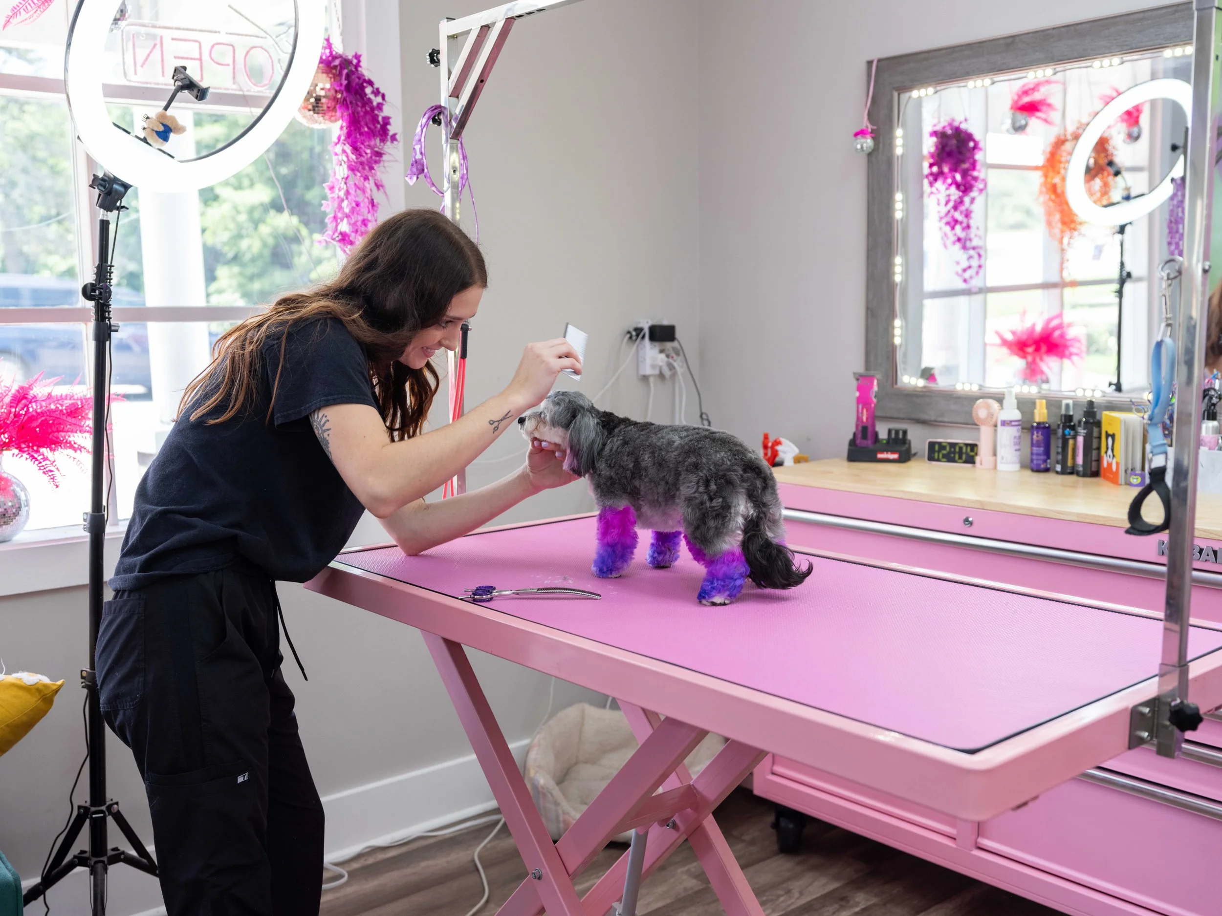 Dog grooming branding session in Louisville studio with staff and pets, lifestyle business photography.