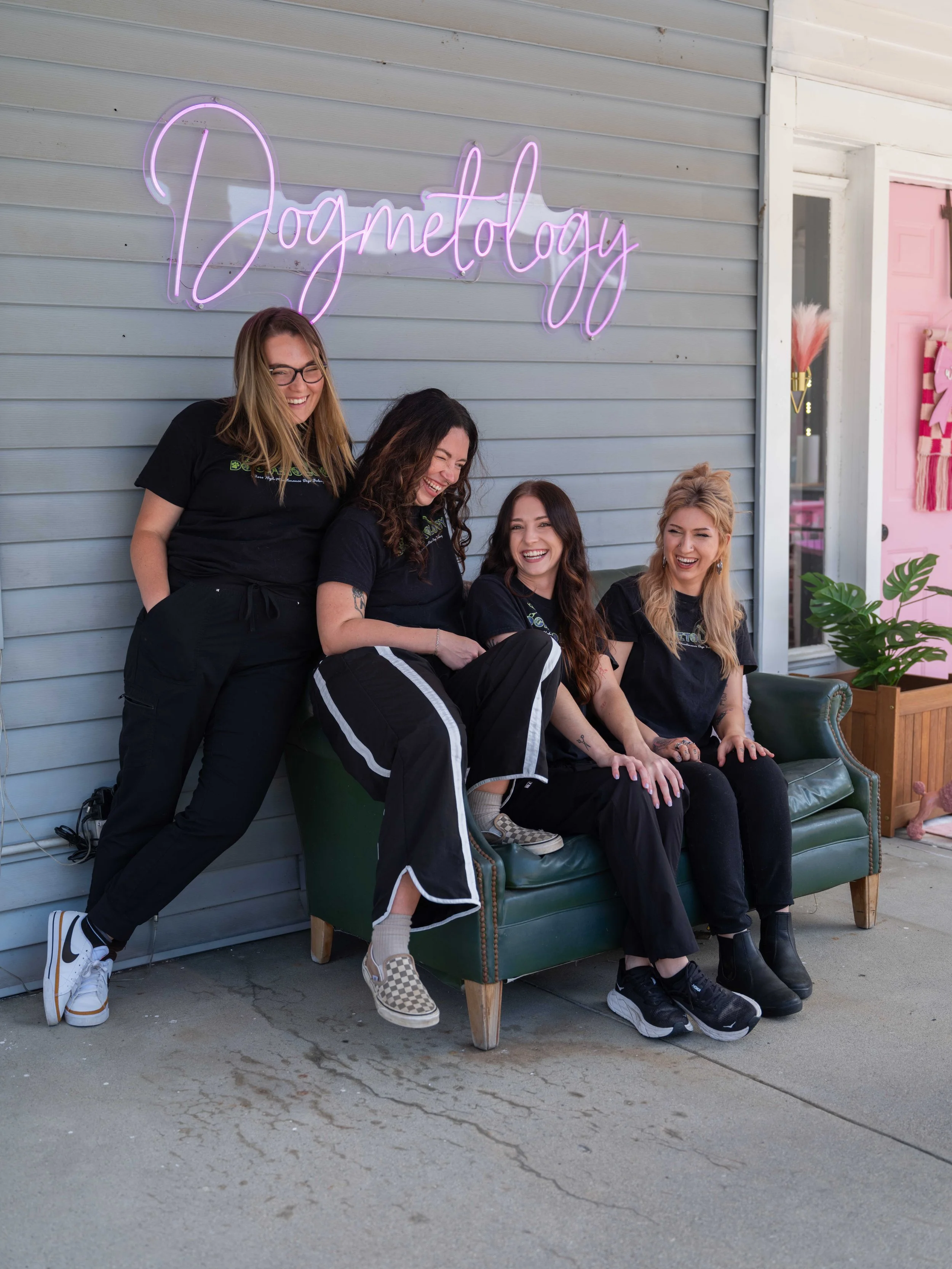 Dog grooming branding session in Louisville studio with staff and pets, lifestyle business photography.