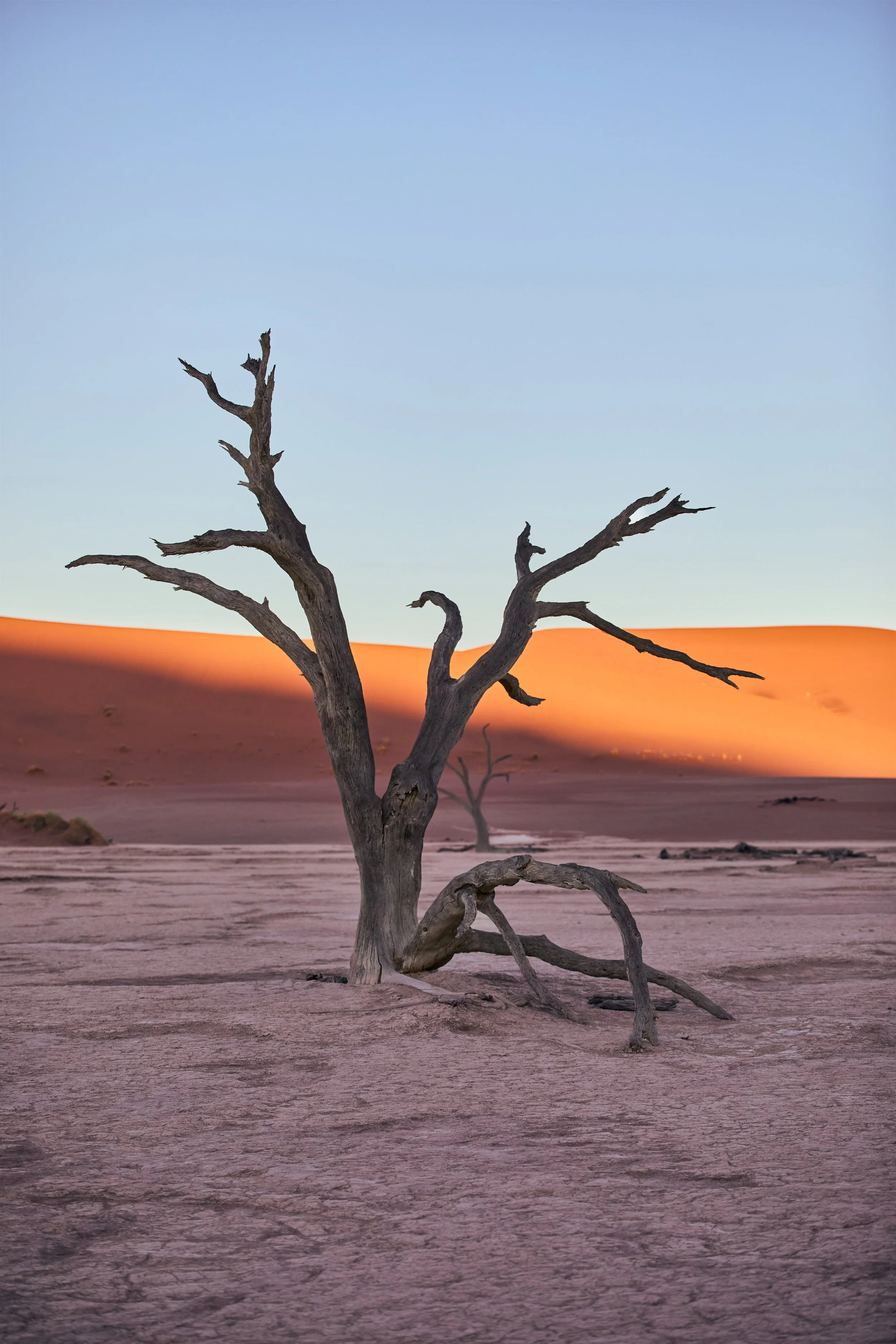 Travel photography capturing quiet desert light in Deadvlei Namibia