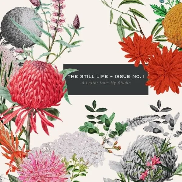 The Still Life: What This Newsletter Is and Why I Started It