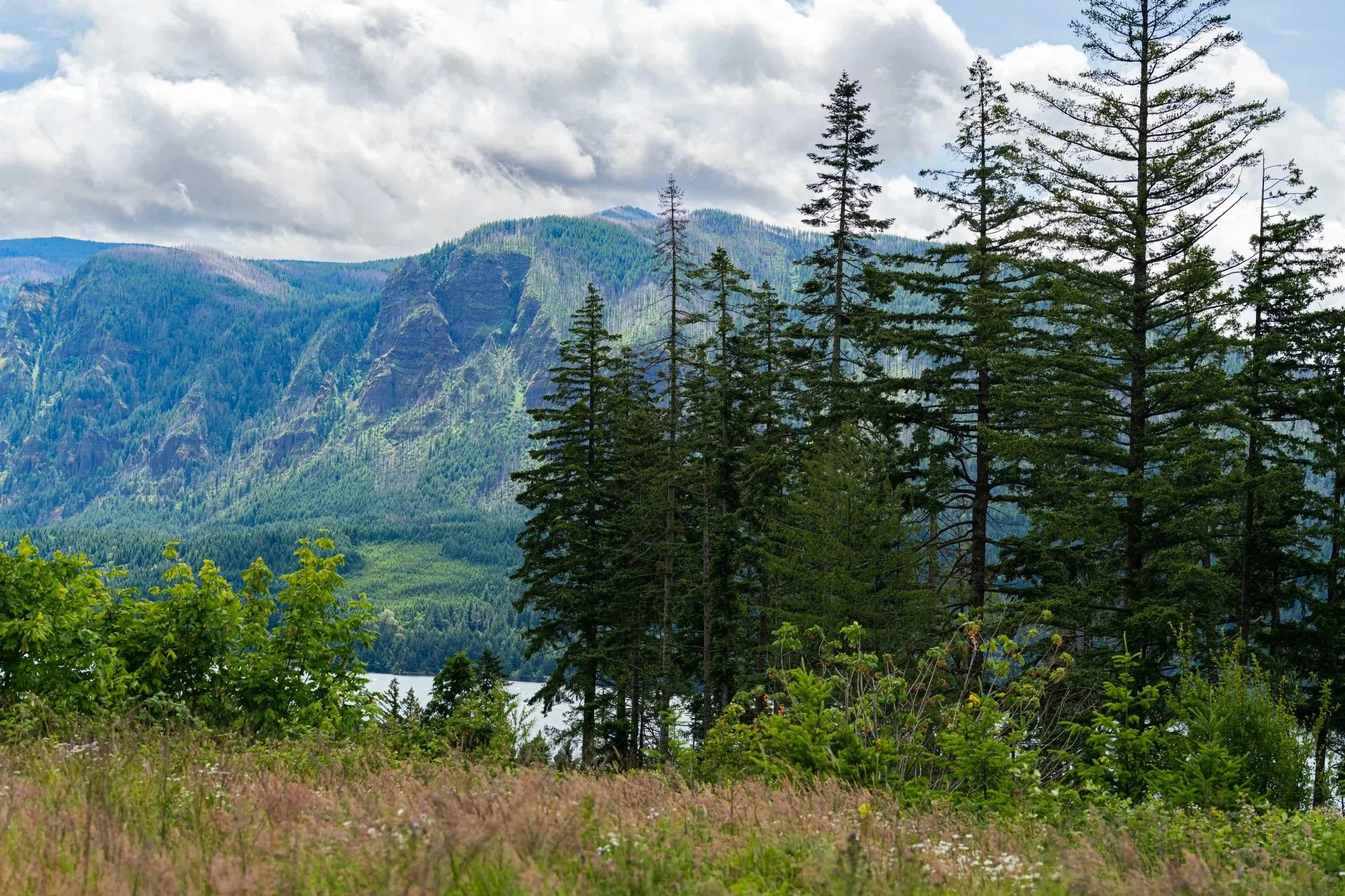 View of the Columbia River Gorge and surrounding mountains in Washington State, near Eva Kosmas Flores's homestead.