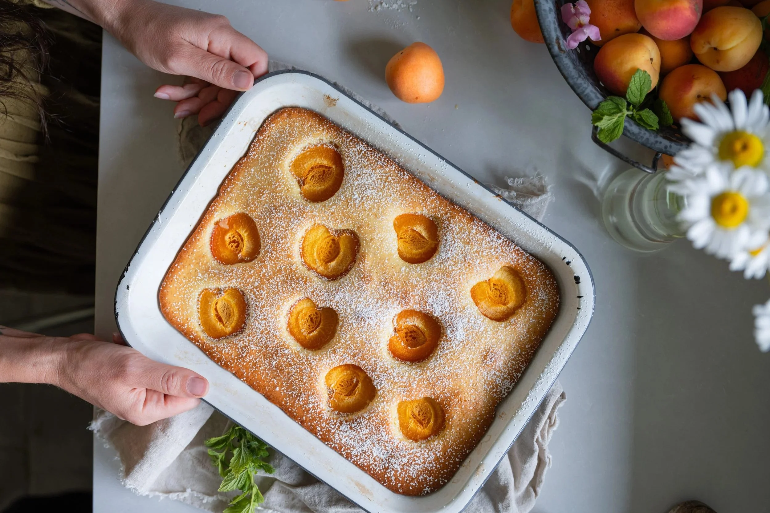 Overhead shot of a fresh apricot cake dusted with powdered sugar, photographed by Jama Finney Photography