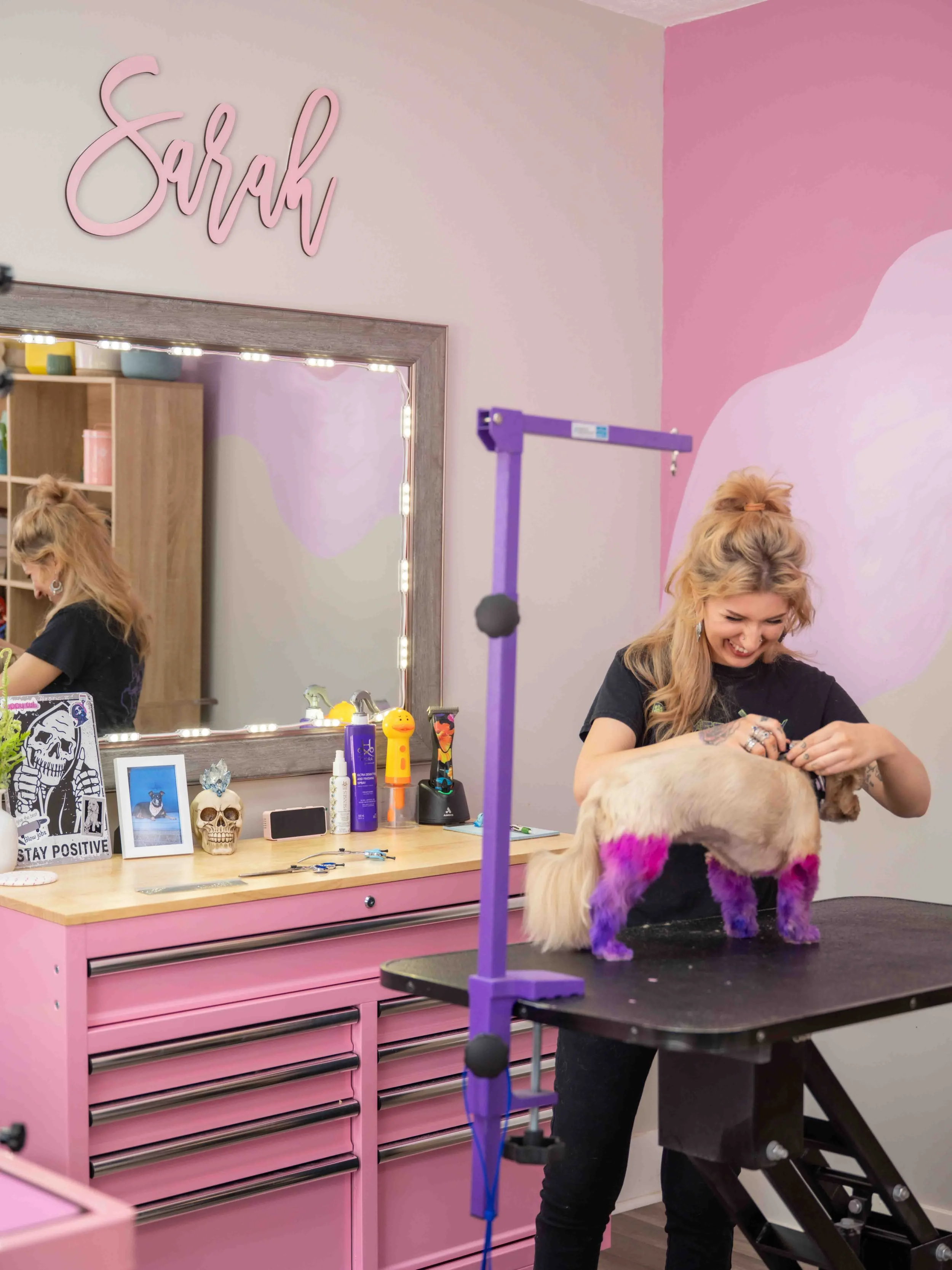 Smiling dog groomer in a pink salon with a poodle on an adjustable grooming table during photoshoot