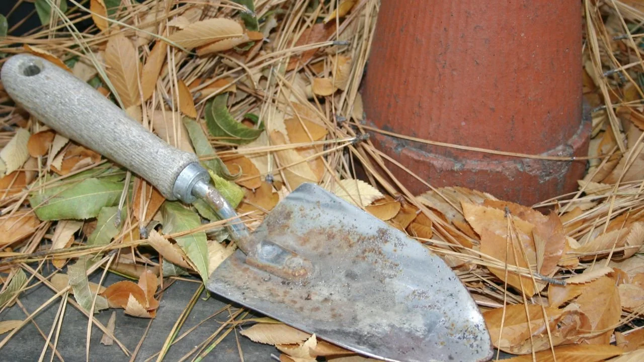 Reset your garden for fall without getting overwhelmed