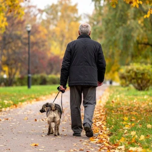A man walking his dog in a park.