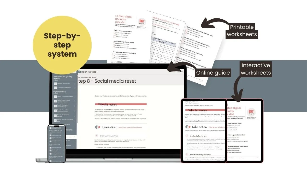 Declutter your digital life blueprint offer
