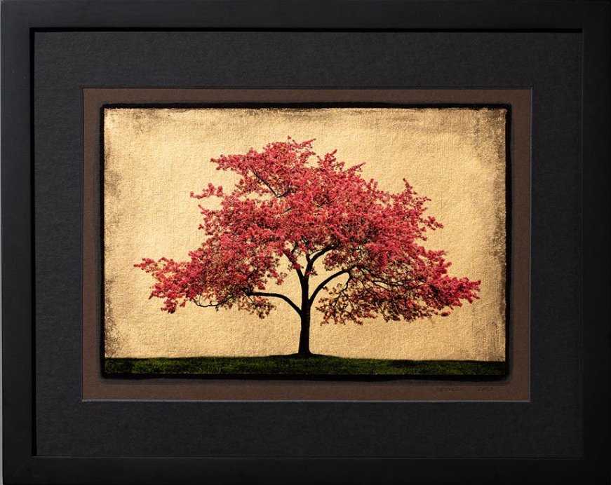 Djordje Skendzic - Starting Bid: $150