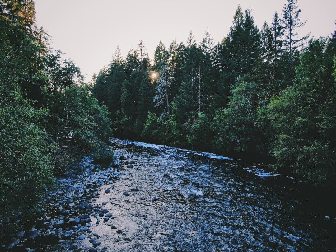 Happy Monday. We hope you spent some time getting out and exploring the outdoors this weekend. We have loved revisiting our favorite spots along the Mckenzie River. ⁠
⁠
What are some of your favorites? Tell us in the comments below.⁠
⁠
.⁠
.⁠
.⁠
.⁠ #p