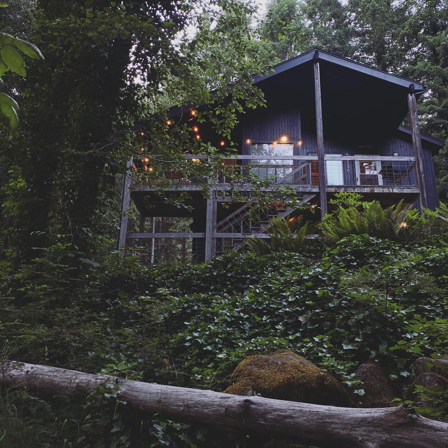 A view looking back from sitting at the river of our McKenzie River getaway. Thank you to all of our amazing guests over the past couple years and we are excited to host everyone else who&rsquo;s booked in the future. 👉 Please share a note or photo 