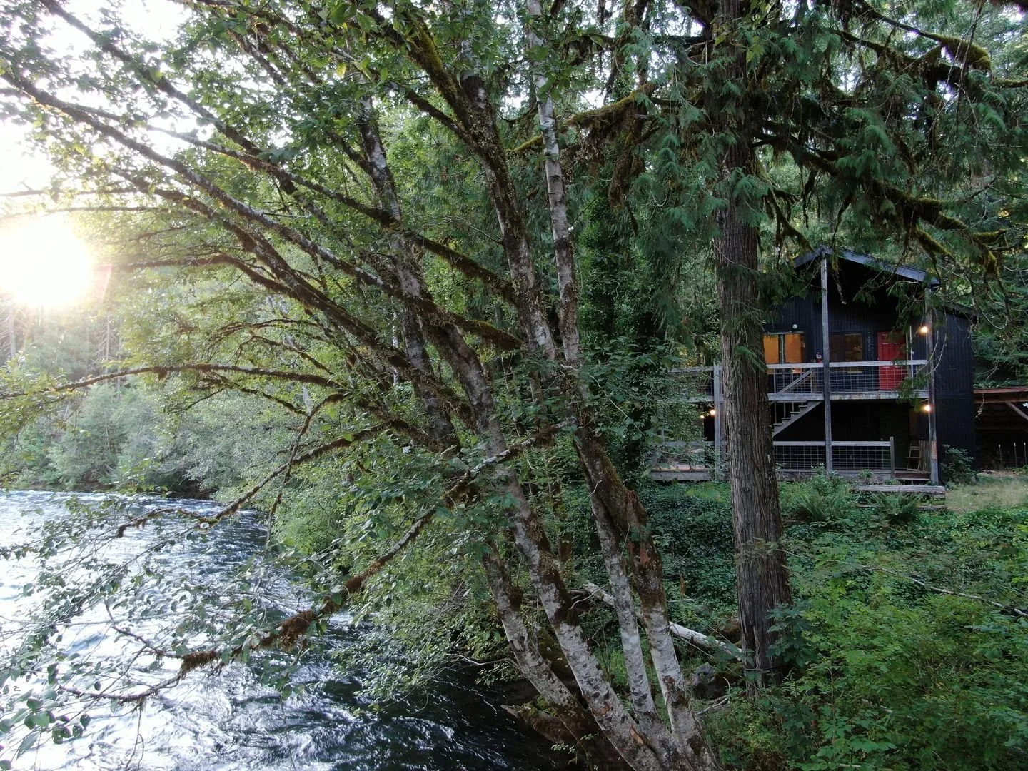 Save this for your next family gathering ✨

Family reunions, friend trips, or just needing more space &mdash; our DOUBLE riverfront cabin is built for it all. 🌲

Book via: www.dreamtimegetaways.com

#pnw #cabin #oregon #mckenzieriver #traveloregon #