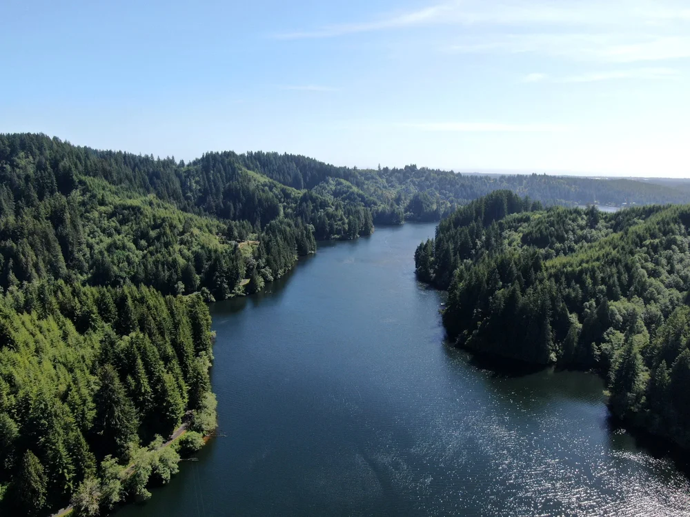 Mercer Lake winding through the forest, just down the road