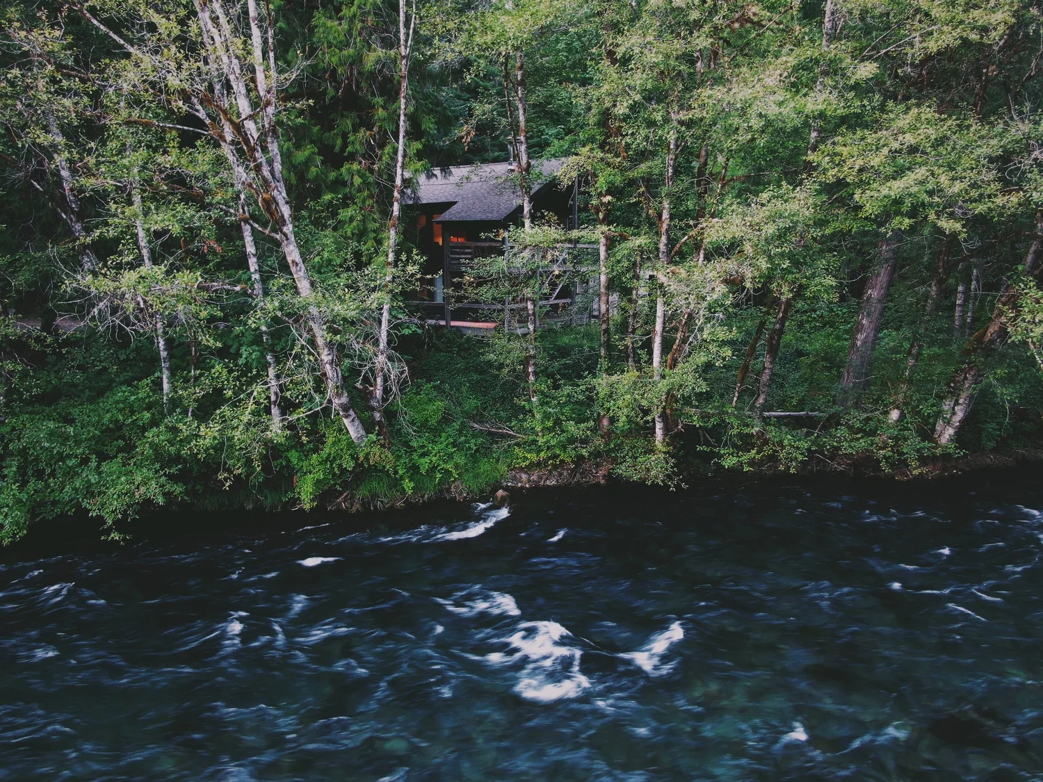The Lower Cabin up in the trees above the rushing McKenzie River