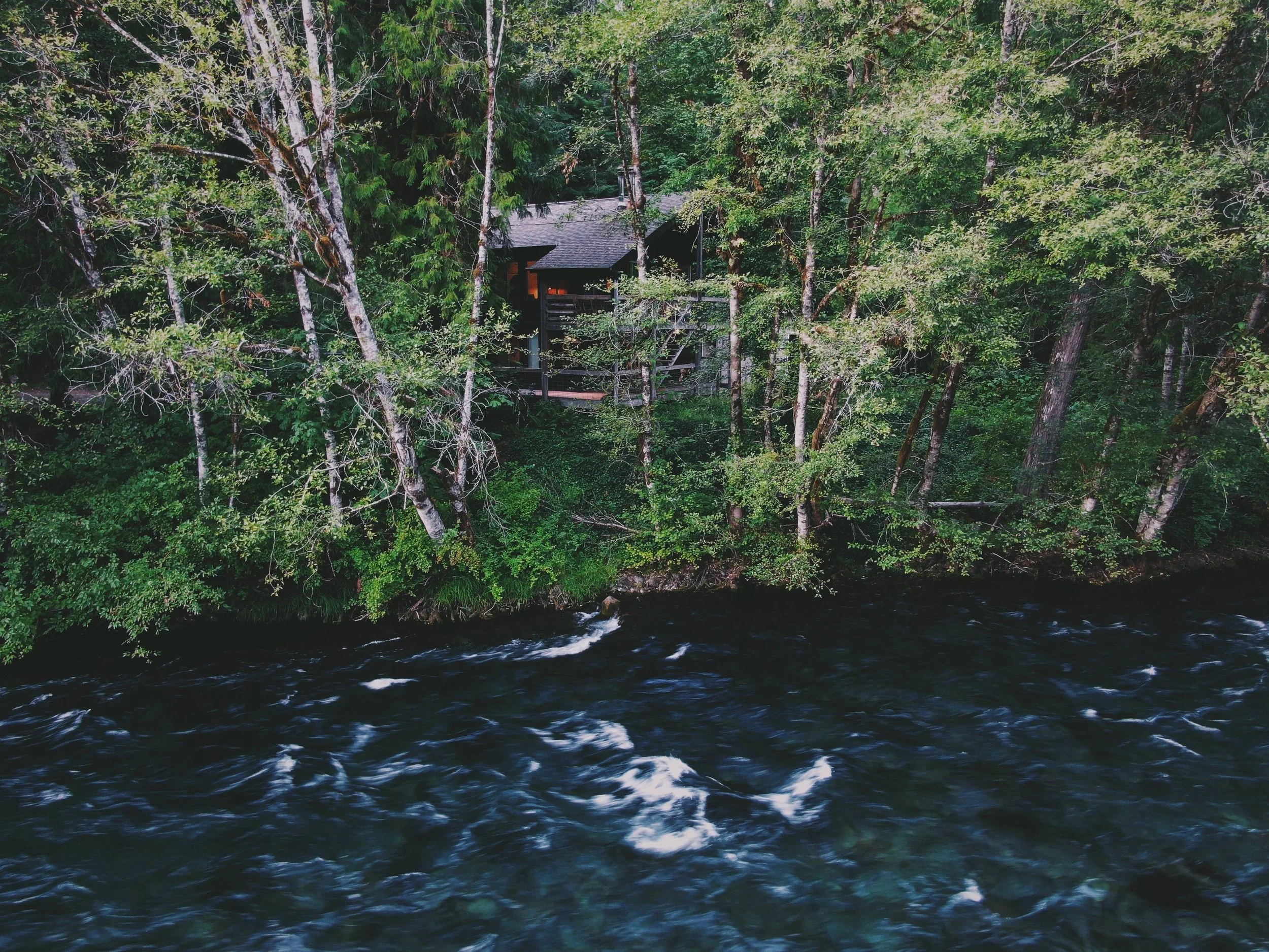 The Lower Cabin up in the trees above the rushing McKenzie River