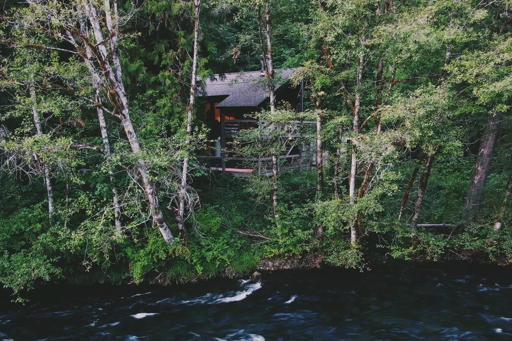 The Lower Cabin in the trees above the rushing McKenzie River