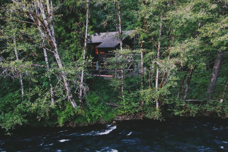 The Lower Cabin in the trees above the rushing McKenzie River