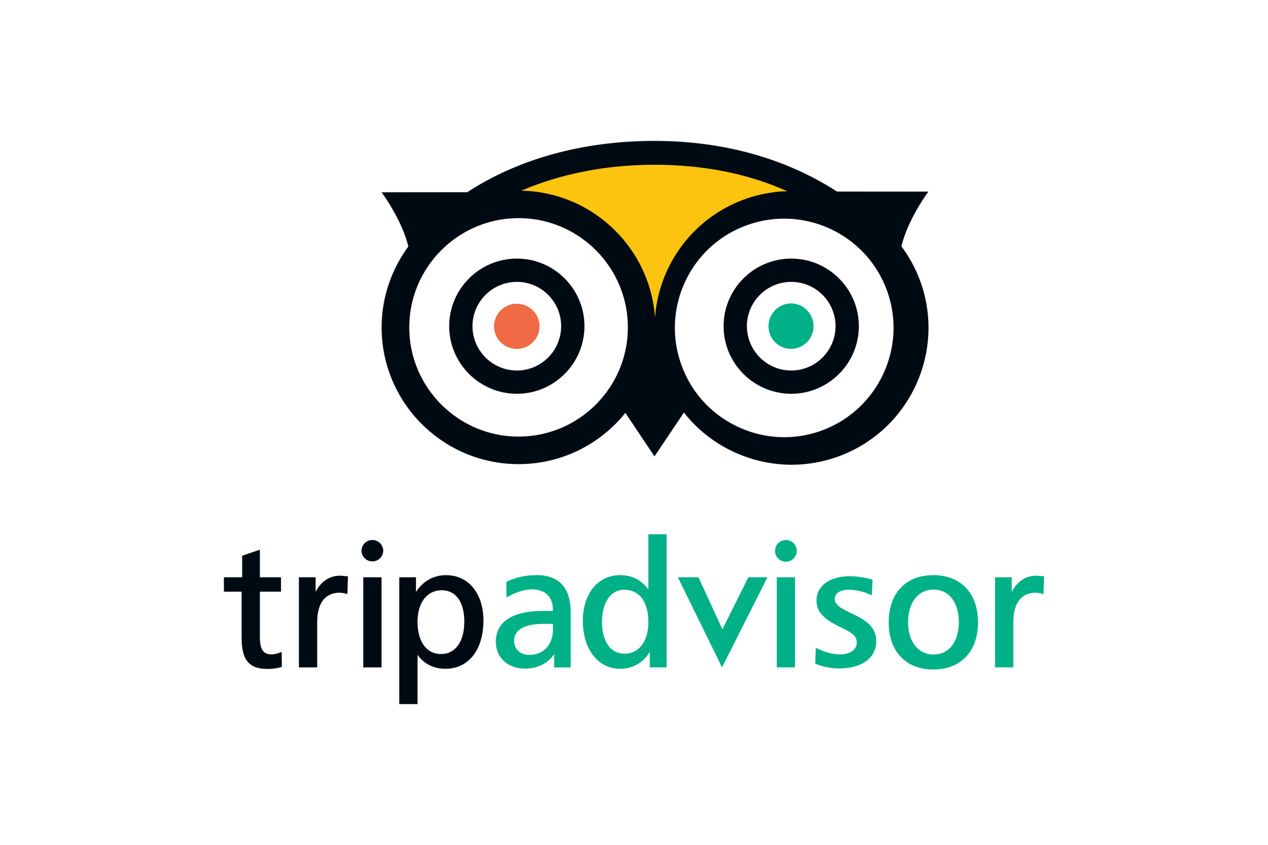 TripAdvisor logo featuring an owl with large eyes and multicolored pupils, with the company name "tripadvisor" below in teal and black text.