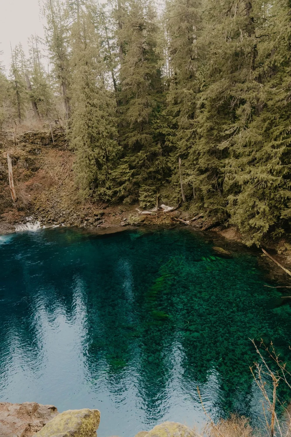 The turquoise Blue Pool at Tamolitch Falls, 16.7 miles up the river