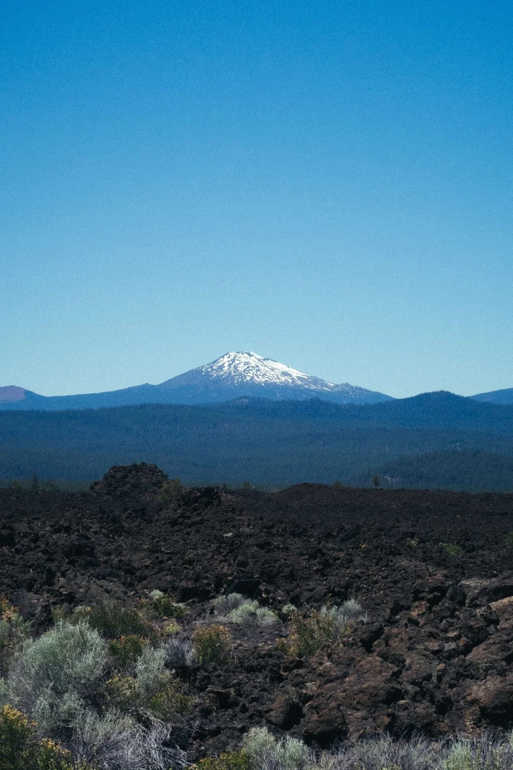 Mt. Bachelor rising over a lava field near Sunriver