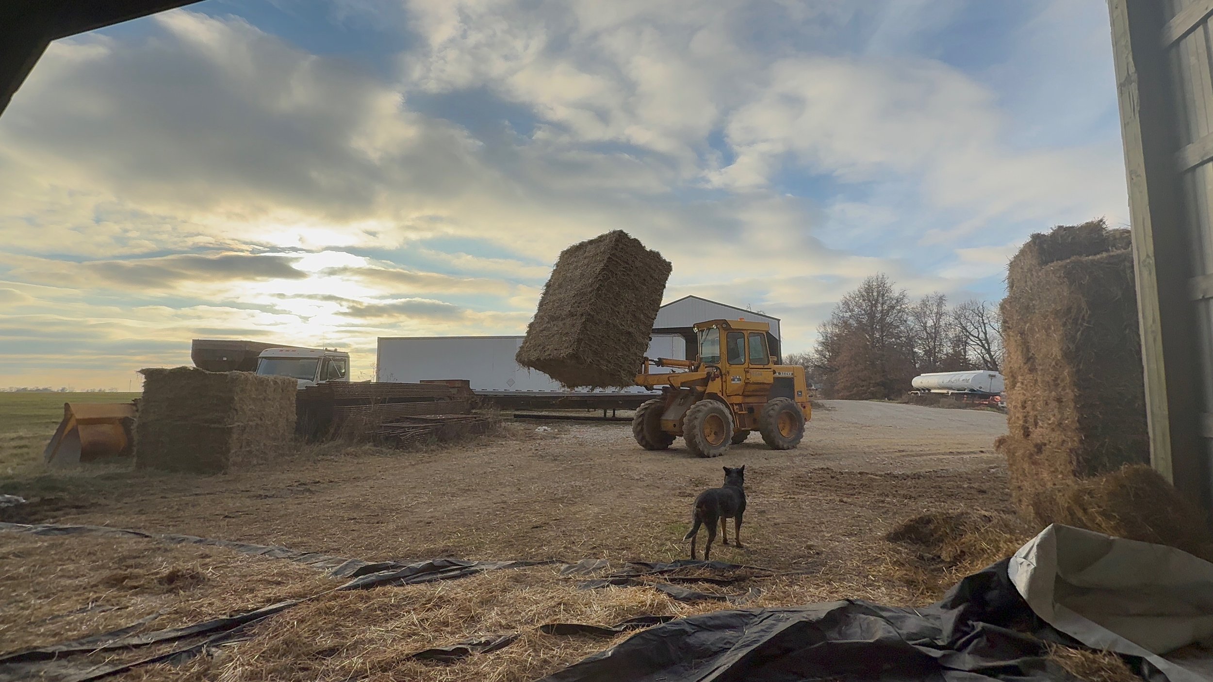 Merry Christmas…. A little late&nbsp;