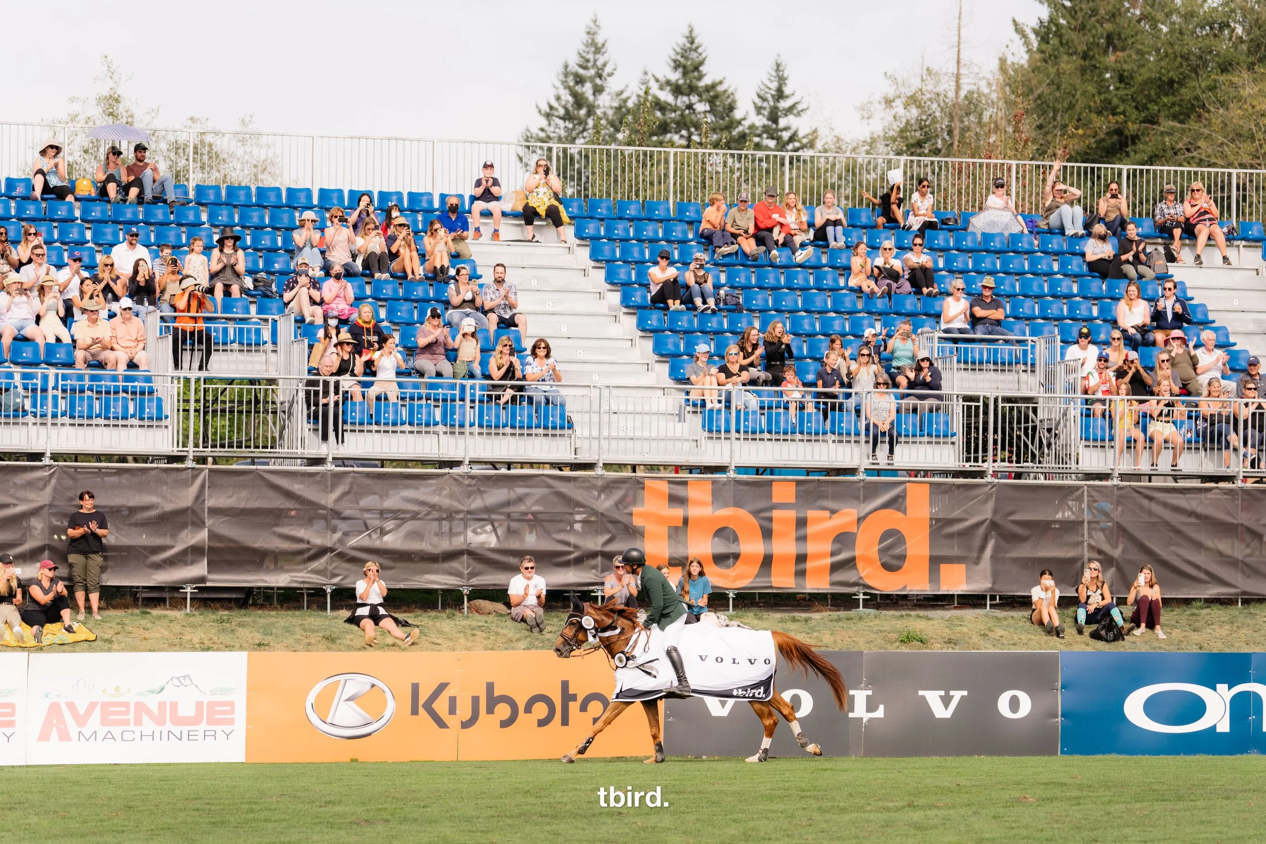 Summer Fort Festival