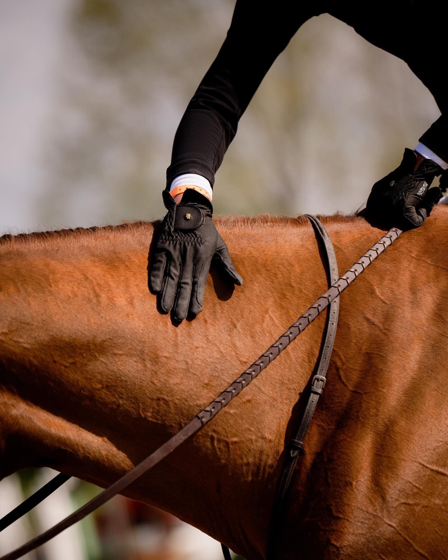 Exciting news! Our symposium is back this November! We are thrilled to bring in different coaches to focus on hunters, jumpers and eq. Any guesses on who?? Hints - one pair recently experienced incredible success at Devon while the other shined brigh