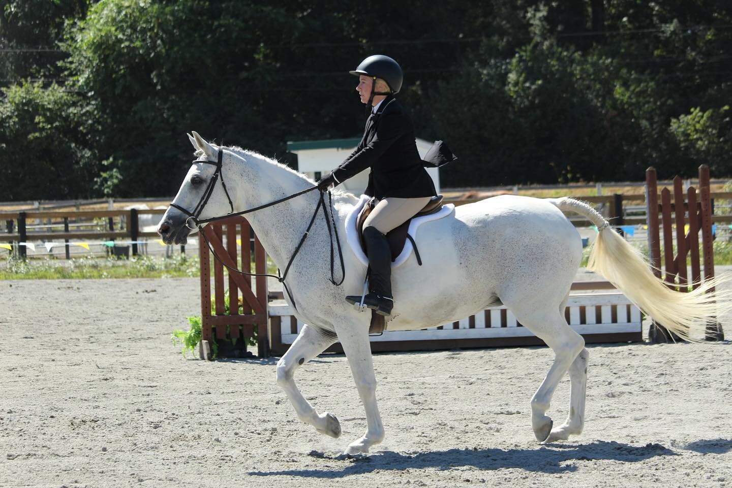 Lindsay Maxwell received the BCHJA ride of the day this weekend at MREC! She was recognized for her excellent attitude, determination and sportsmanship in the ring and around the show grounds. Awesome job Lindsay! @meganholm.ridgeviewstables @smairdy