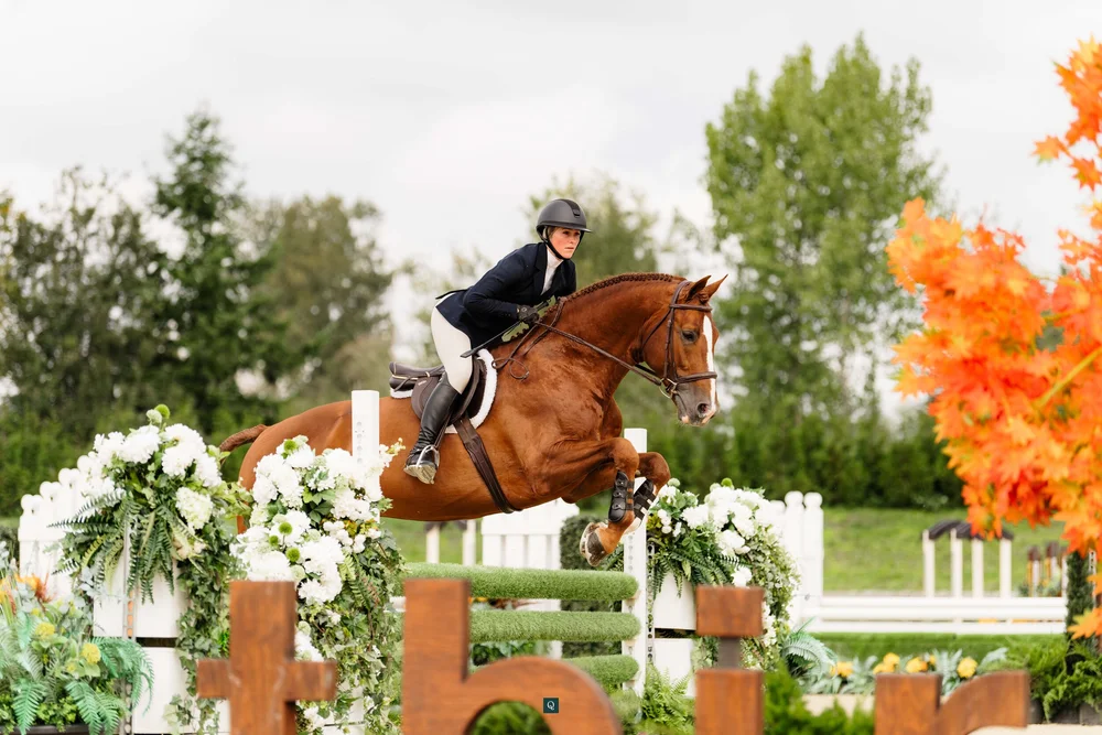 Chjf British Columbia Hunter Jumper Association