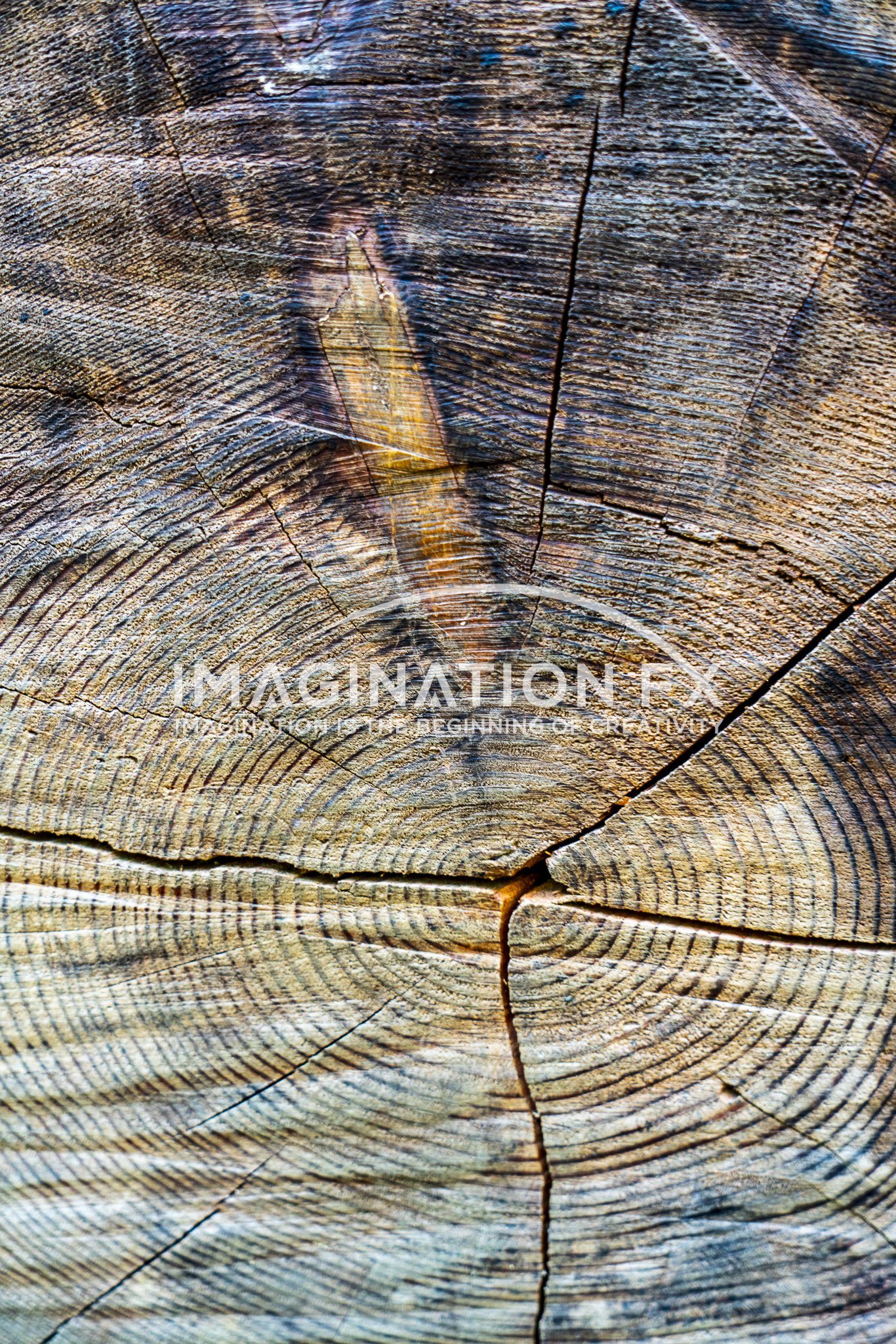 Imagination FX Fauna and Animals 5