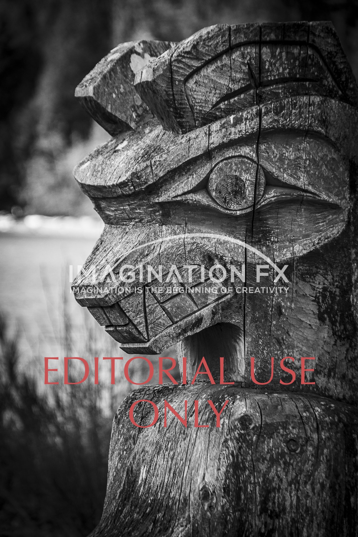 Imagination FX Totem Pole 4