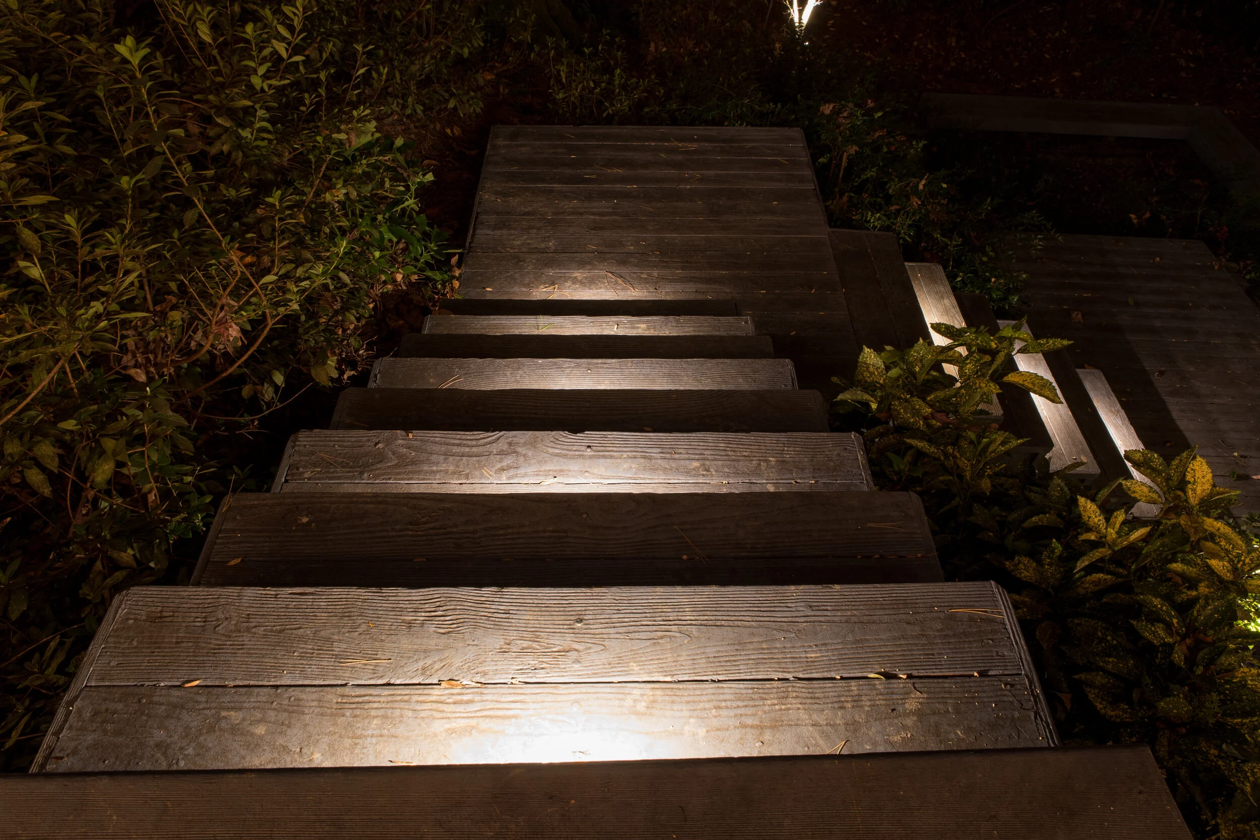 1490 Wessyngton-10.jpg