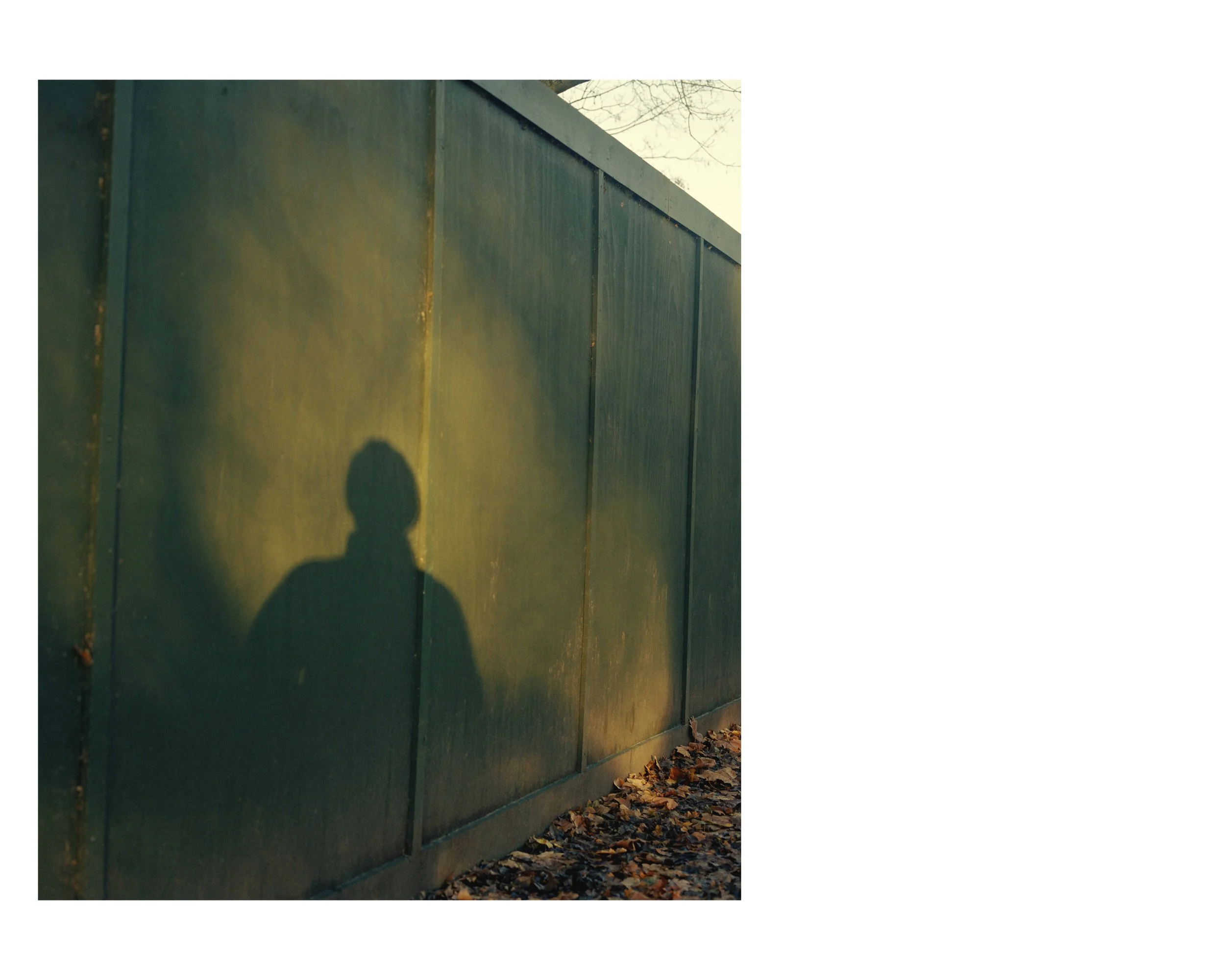 Shadow.jpg
