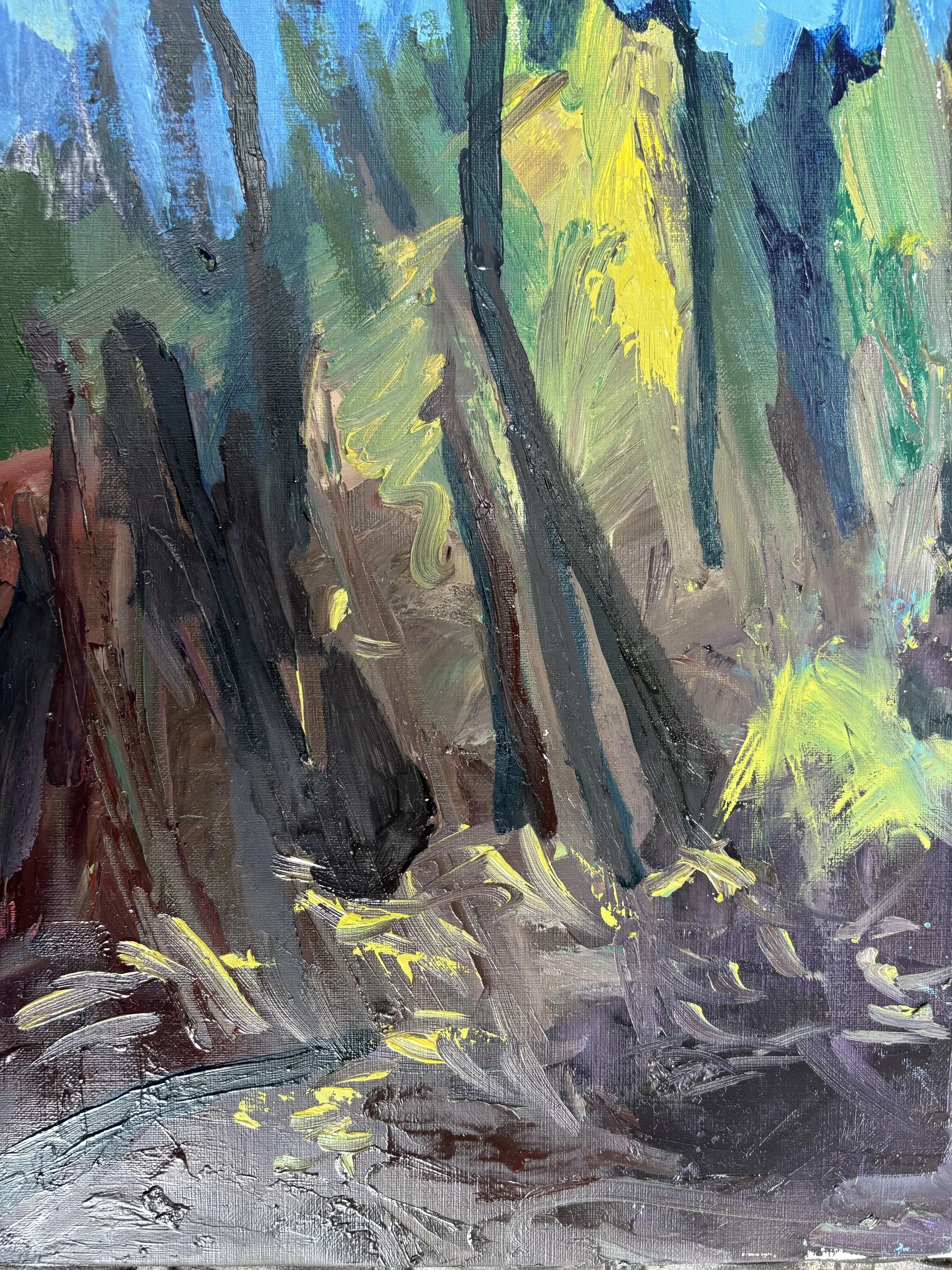 2-Rochelle_Acker_Cold Spring Park #1.jpeg