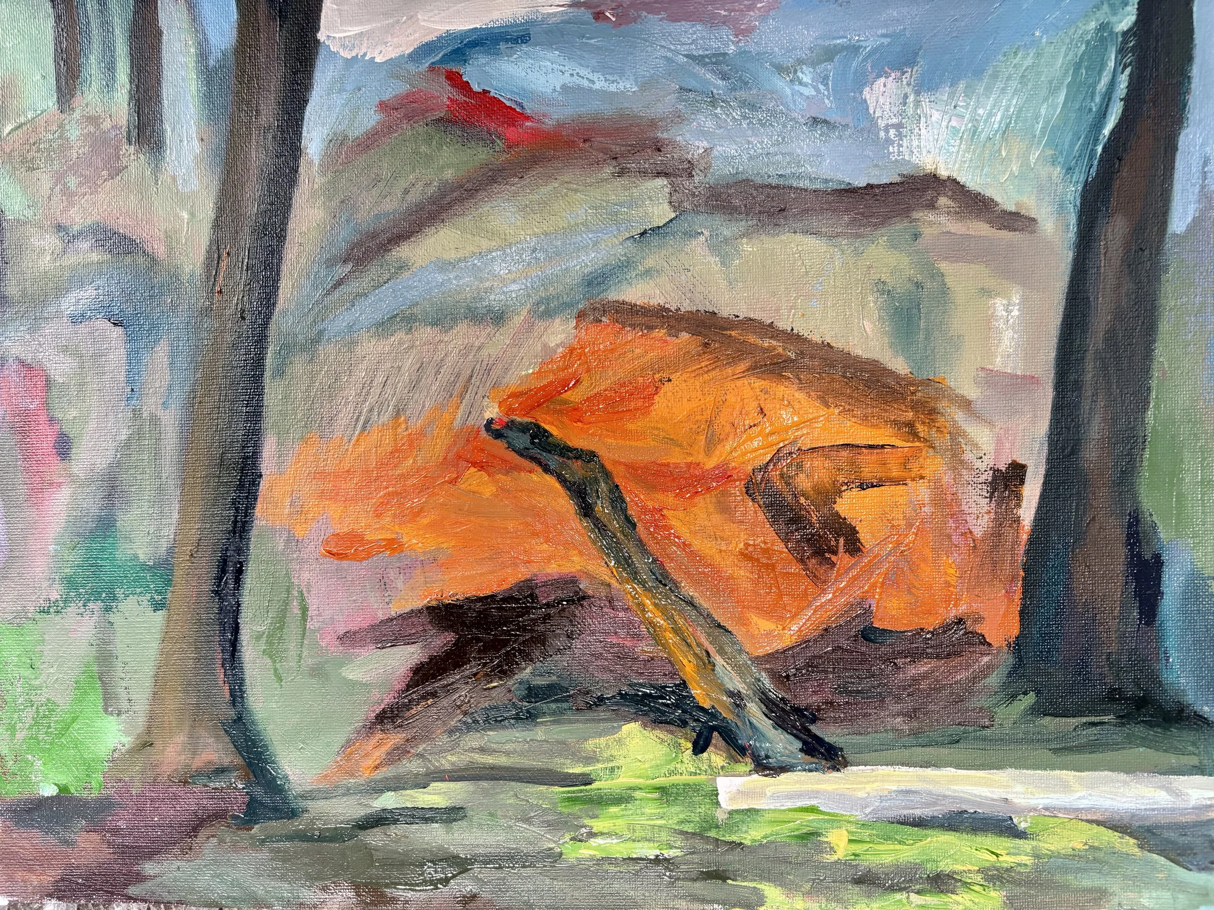 4-Rochelle_Acker_Cold Spring Park #3.jpeg