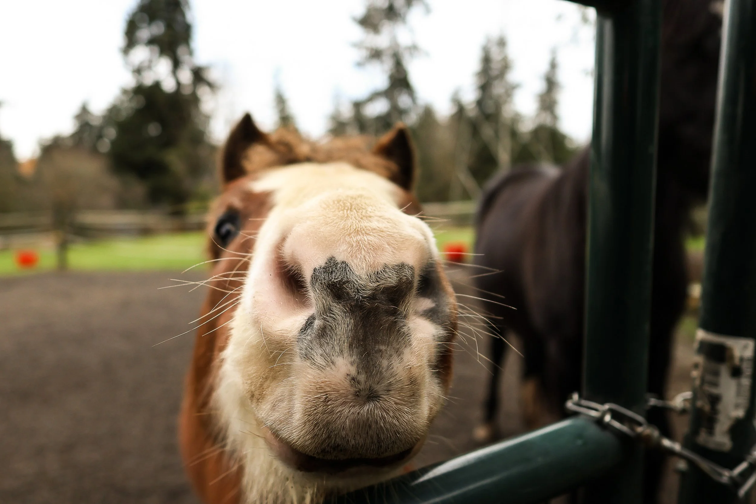 file those nails-01.jpg