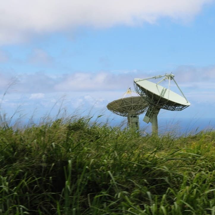 dish.jpeg