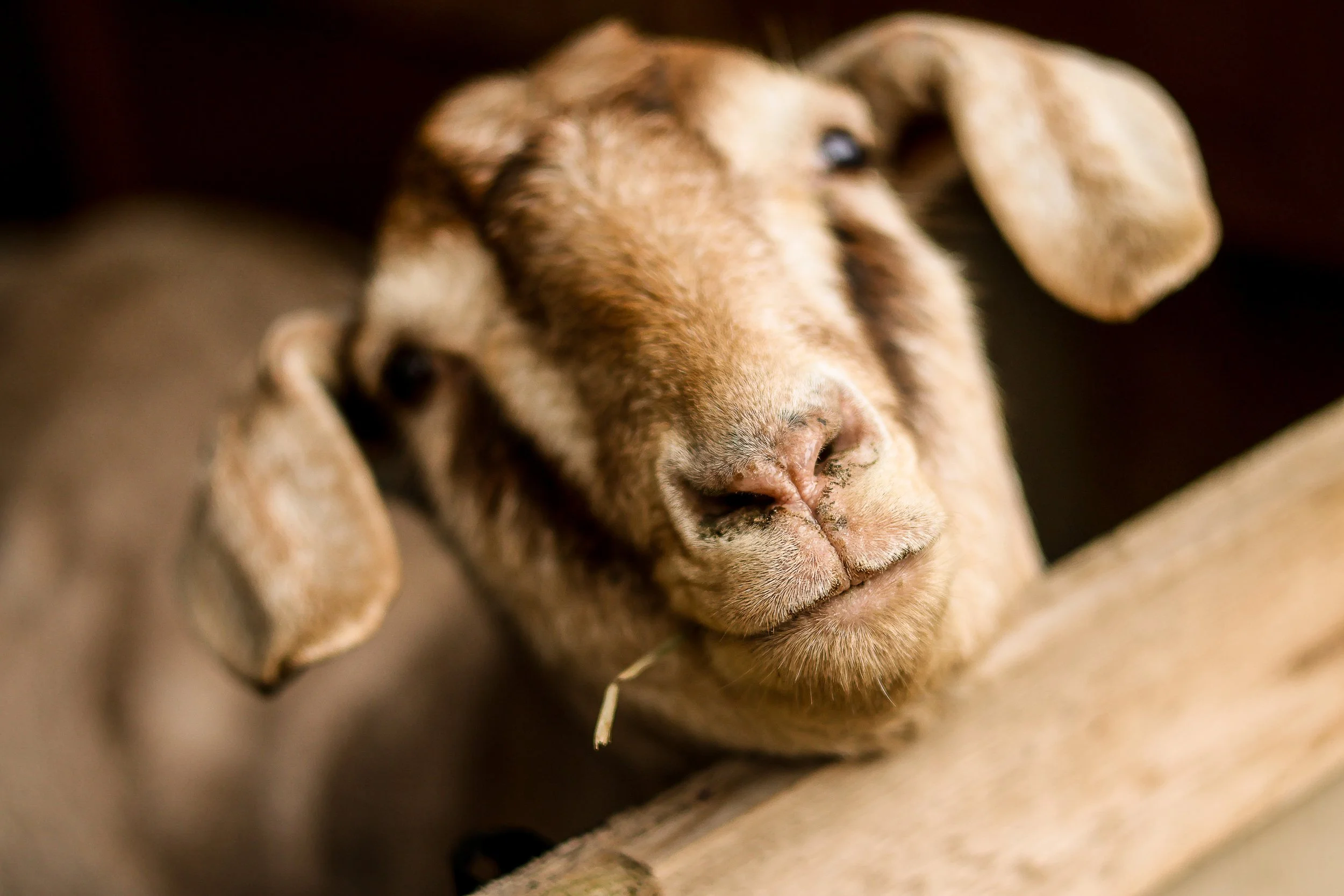 file those nails-10.jpg