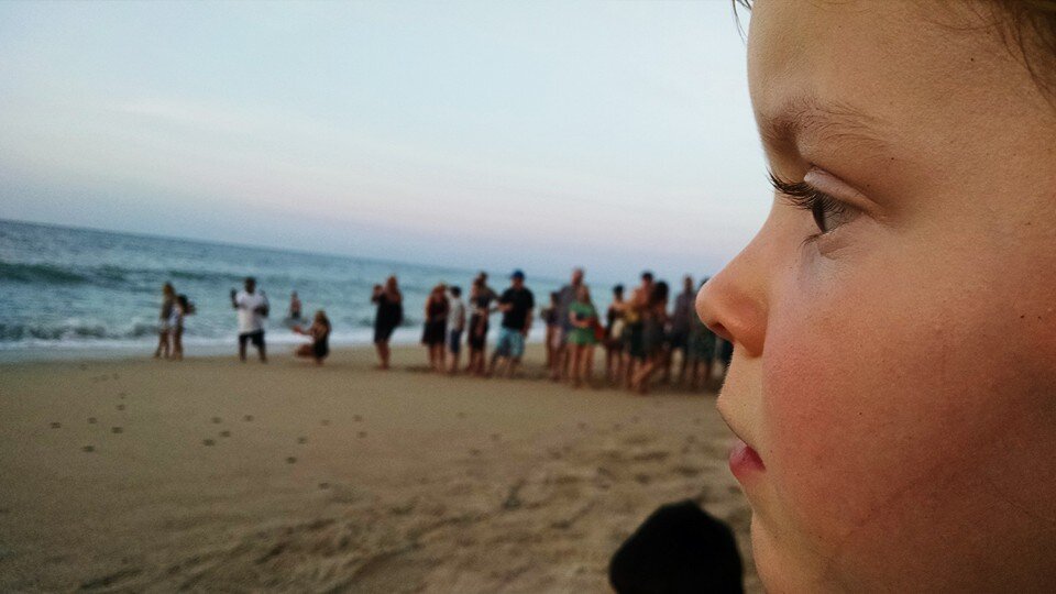turtel beach.jpeg