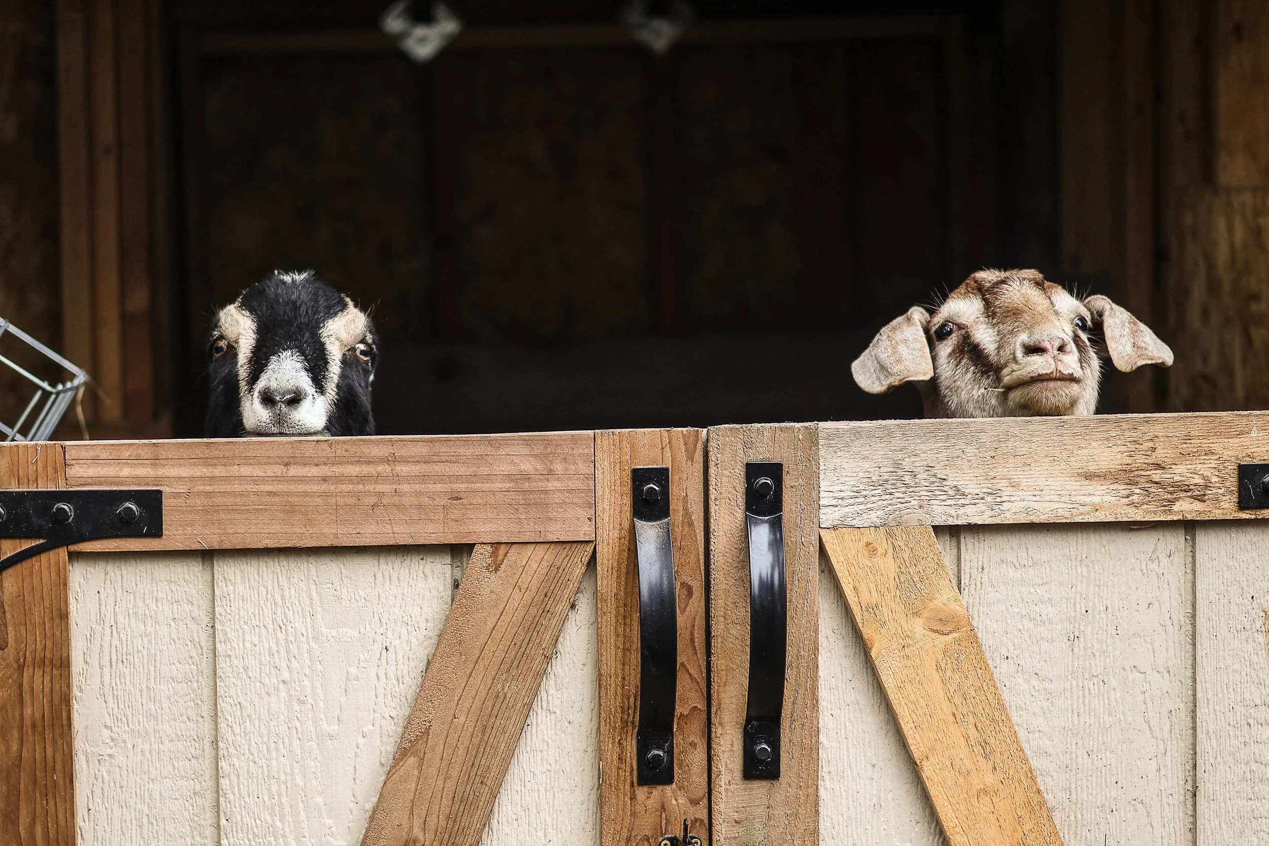 file those nails-11.jpg