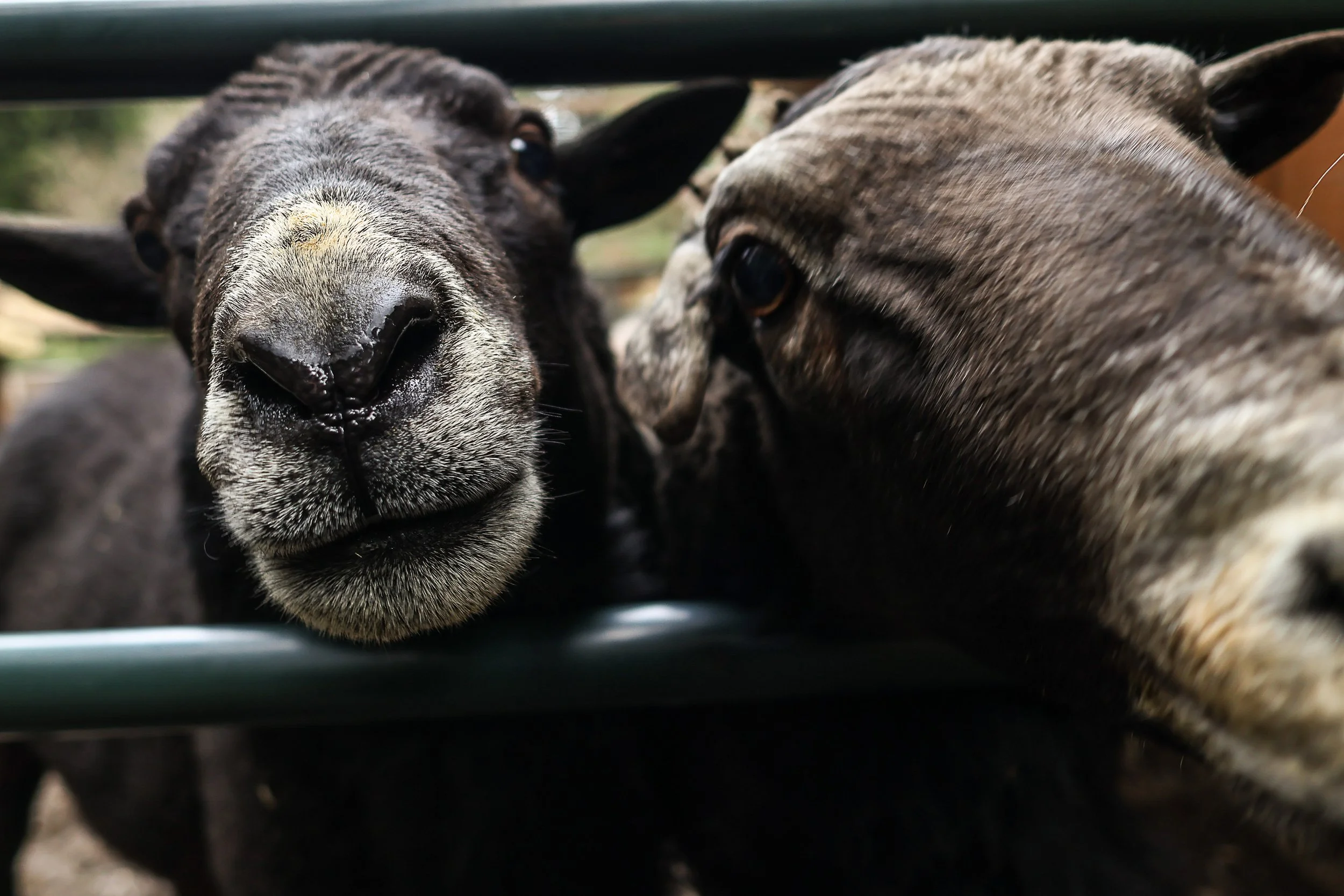 file those nails-05.jpg