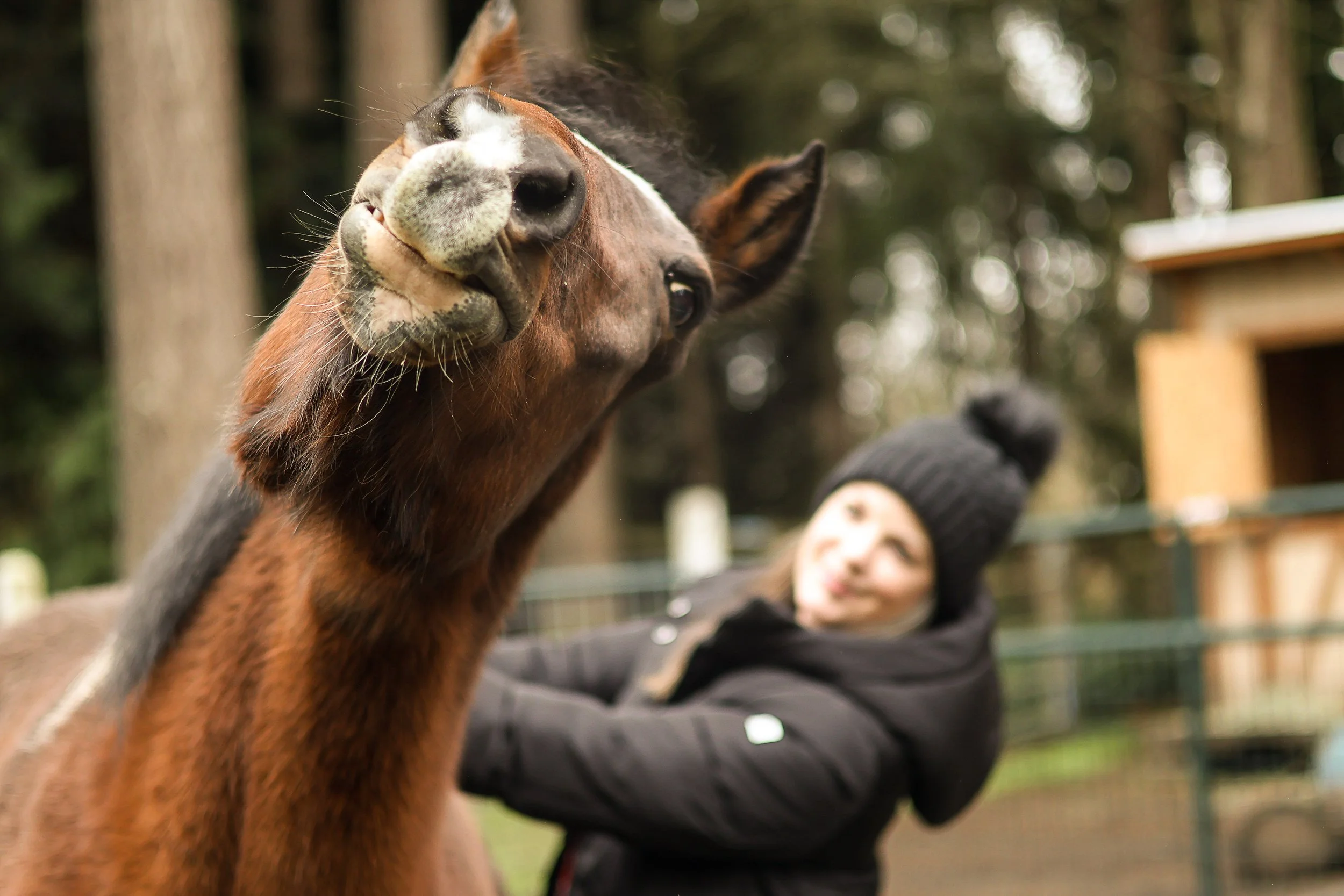 file those nails-02.jpg