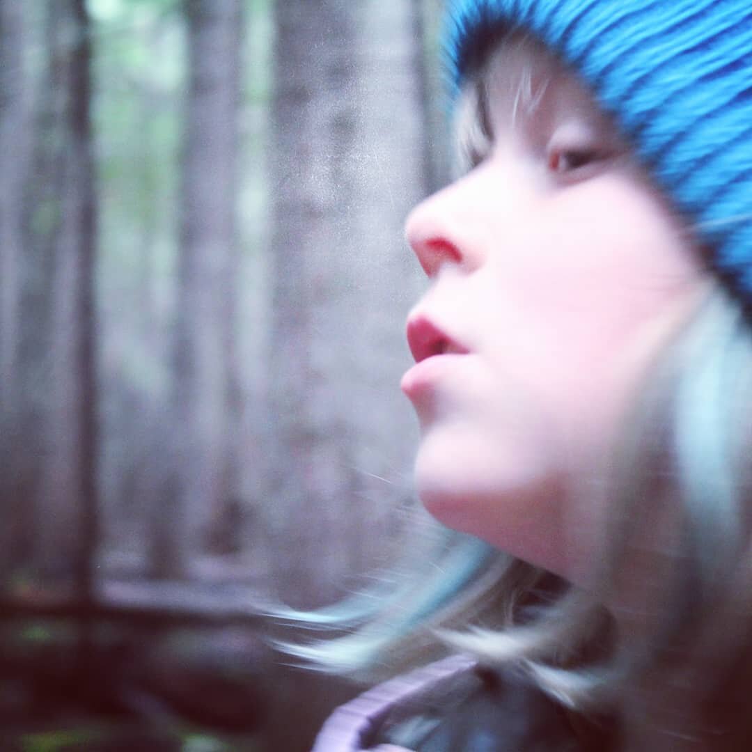 o forest.jpeg