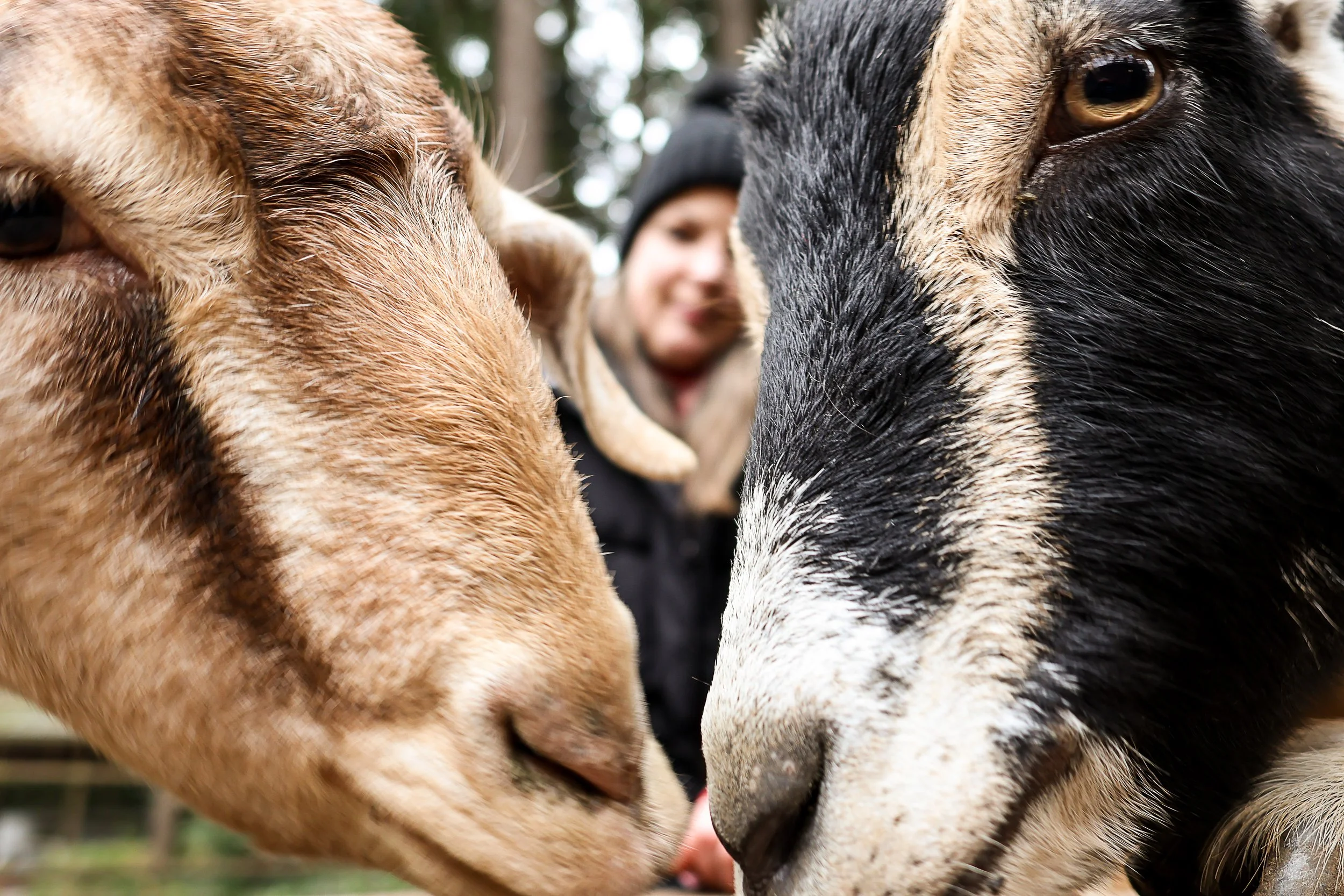 file those nails-03.jpg