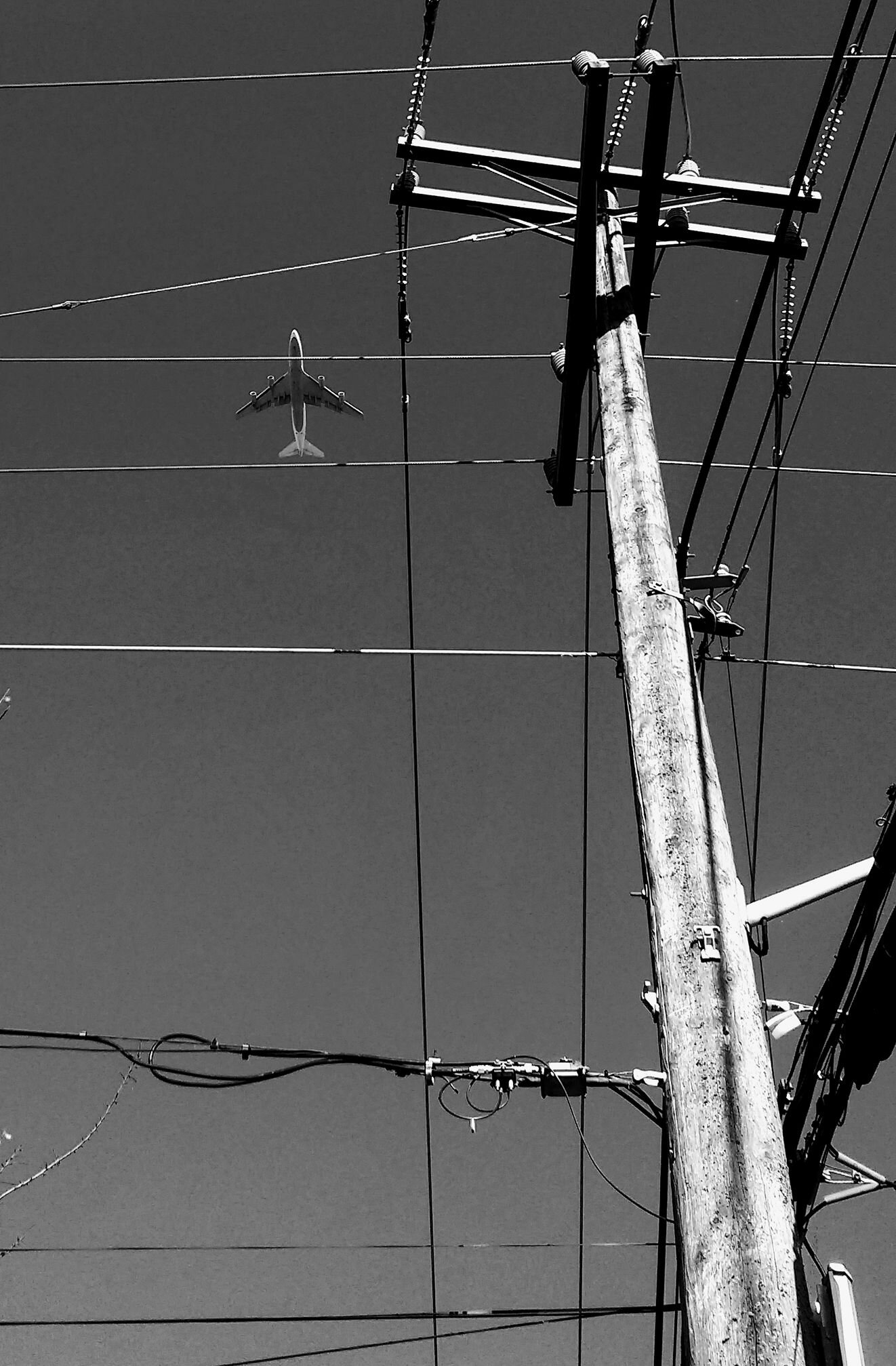 plane and wire.jpeg