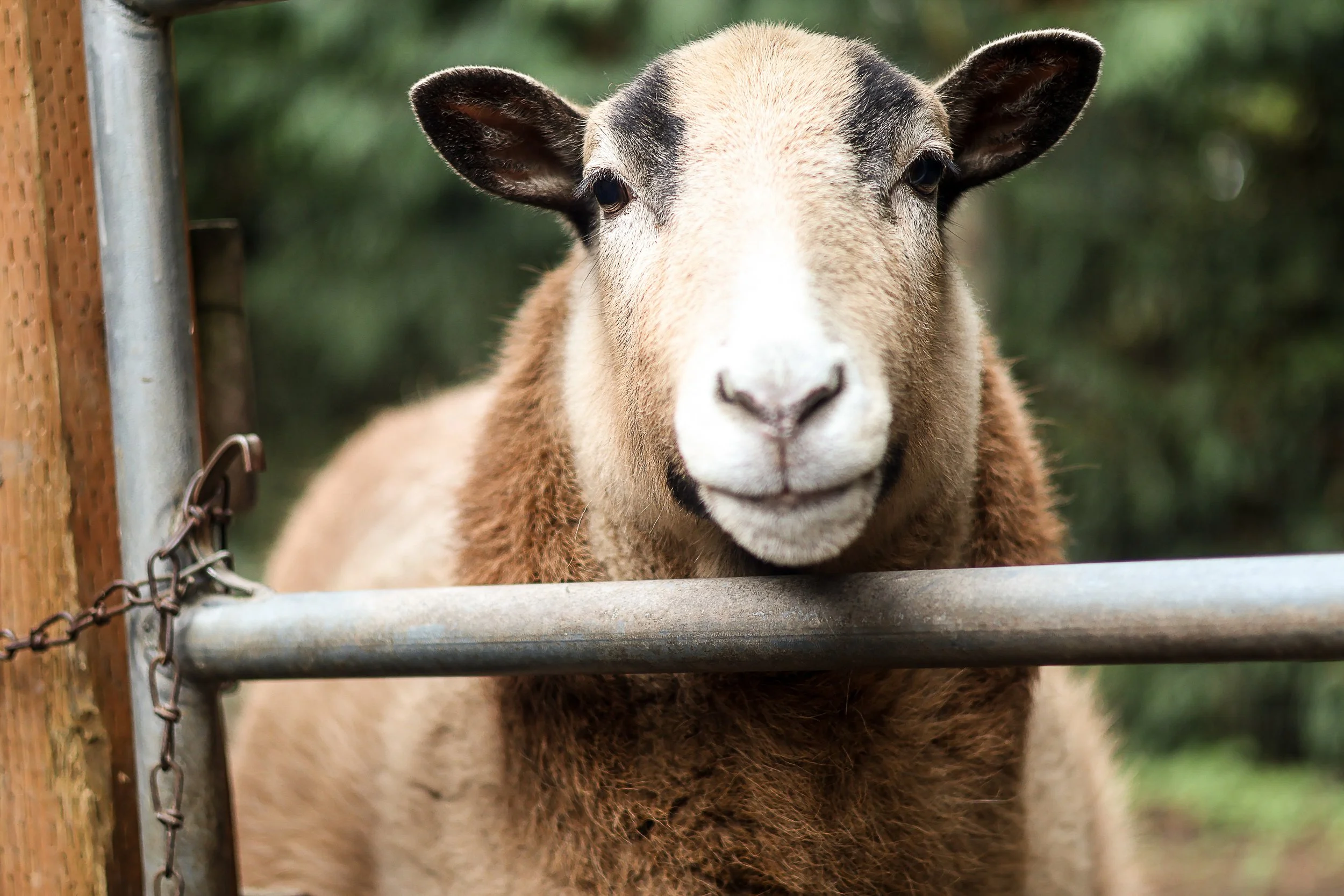 file those nails-07.jpg