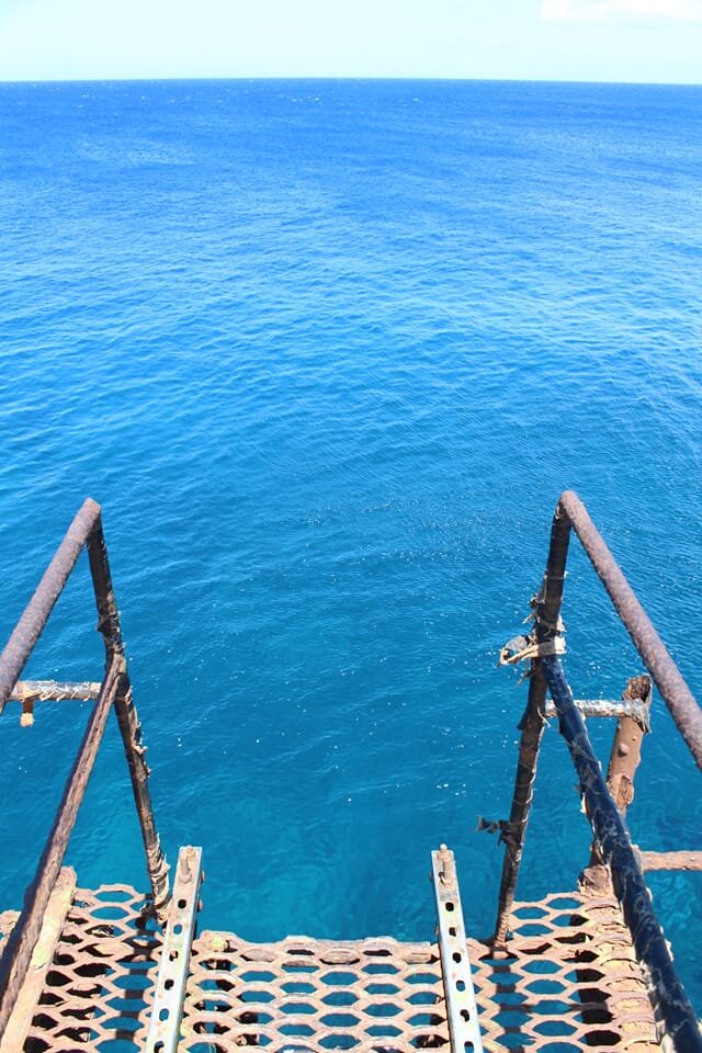 ocean.jpeg