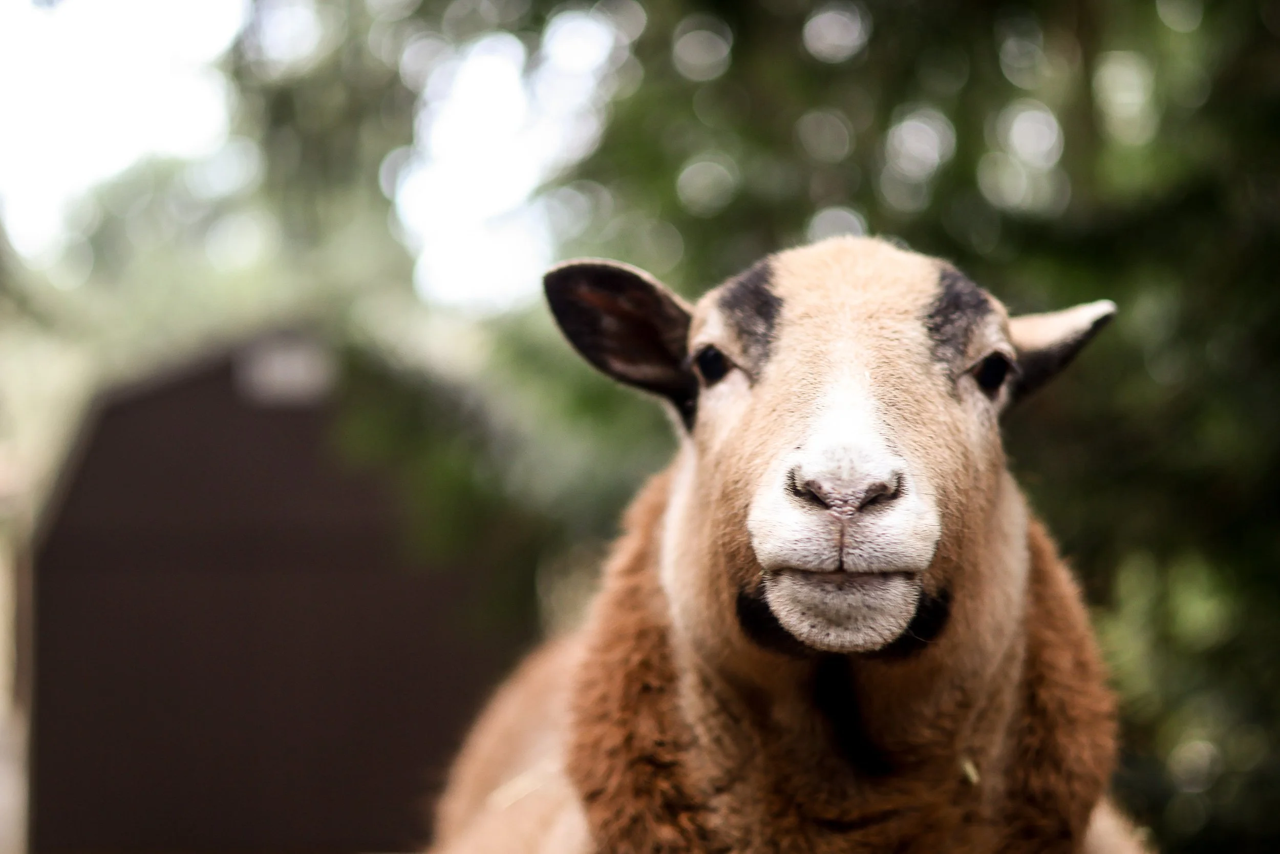 file those nails-08.jpg