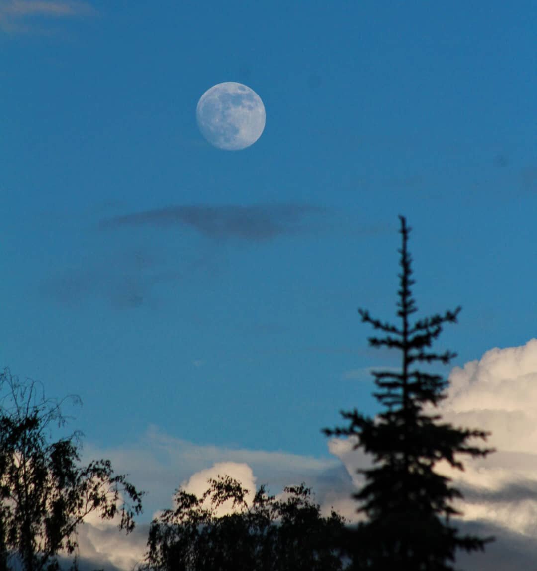 moon.jpeg