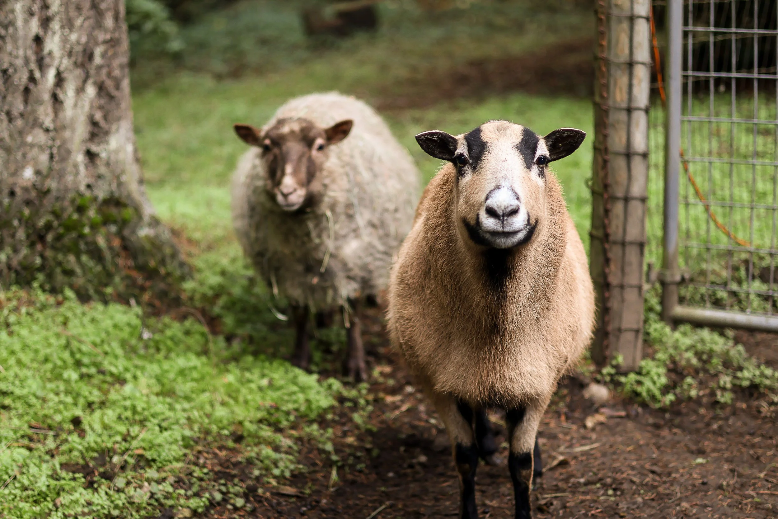 file those nails-09.jpg