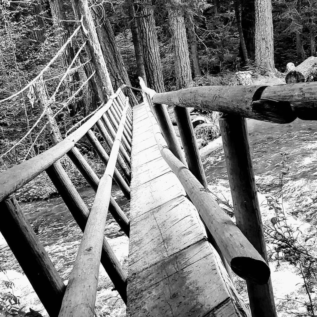 bridge.jpeg